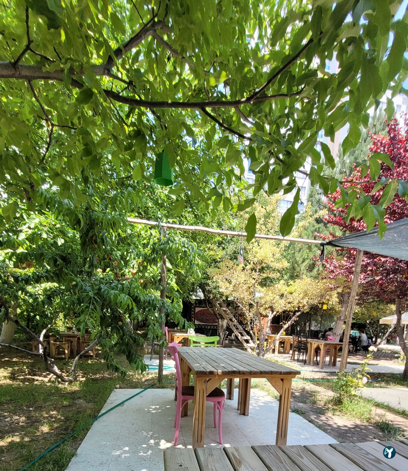 Te-Ora Cafe Bistro Fırın