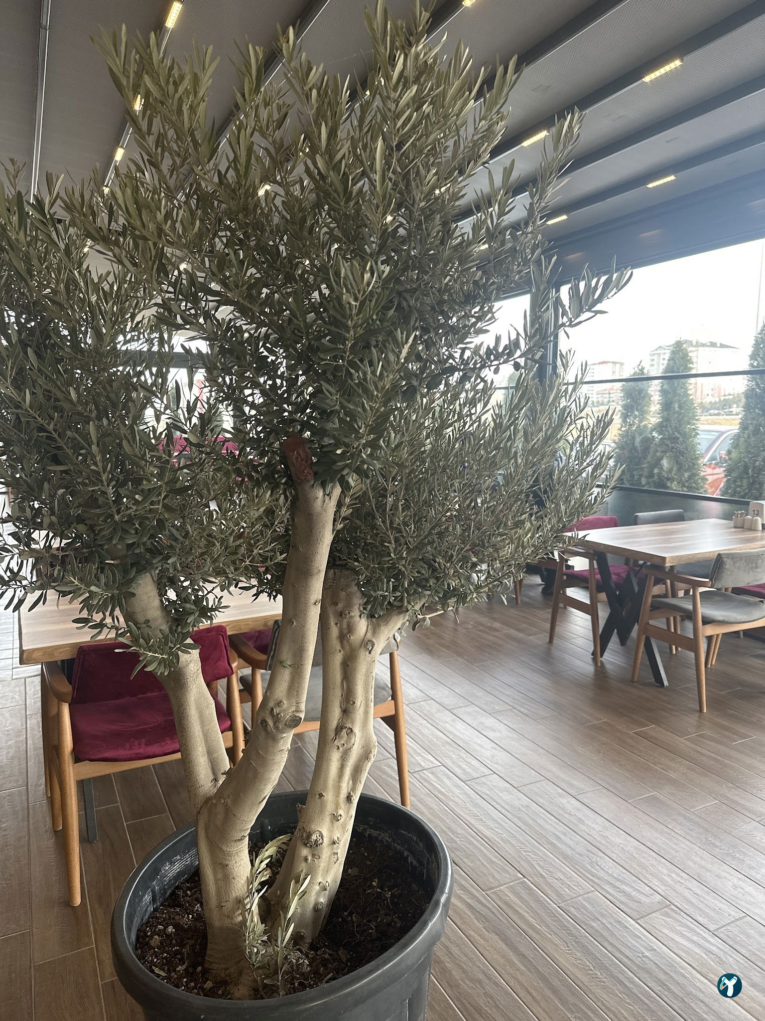 Te-Ora Cafe Bistro Fırın