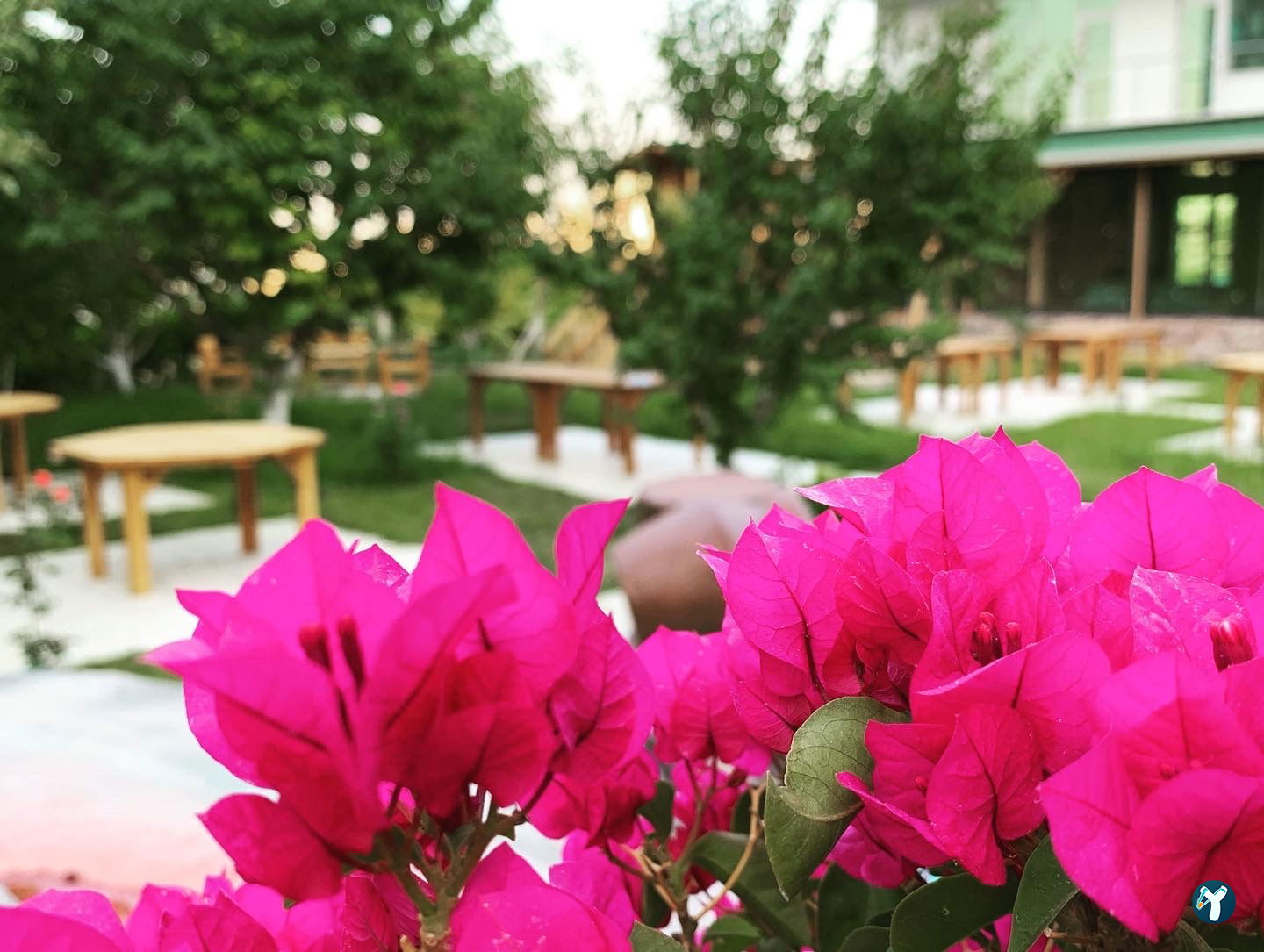 Te-Ora Cafe Bistro Fırın