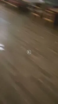 Te-Ora Cafe Bistro Fırın resimleri Te-Ora Cafe Bistro Fırın resimleri