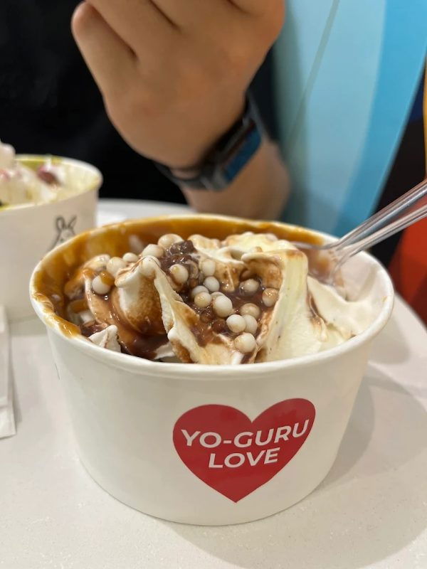 YO-GURU FROZEN YOGURT AND MORE