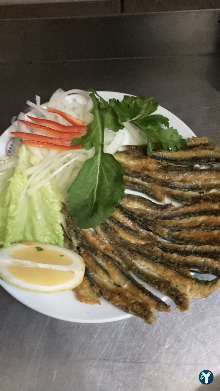 Safir Restaurant