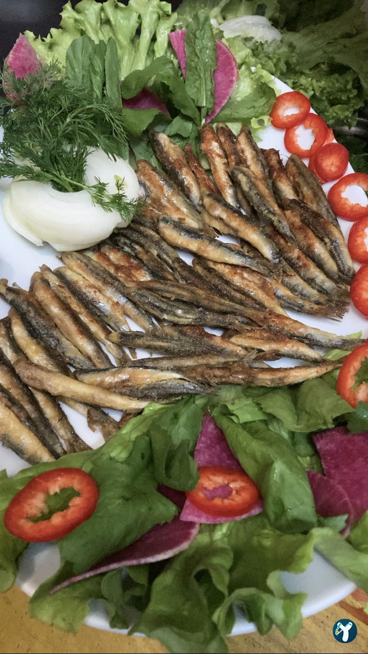 Safir Restaurant