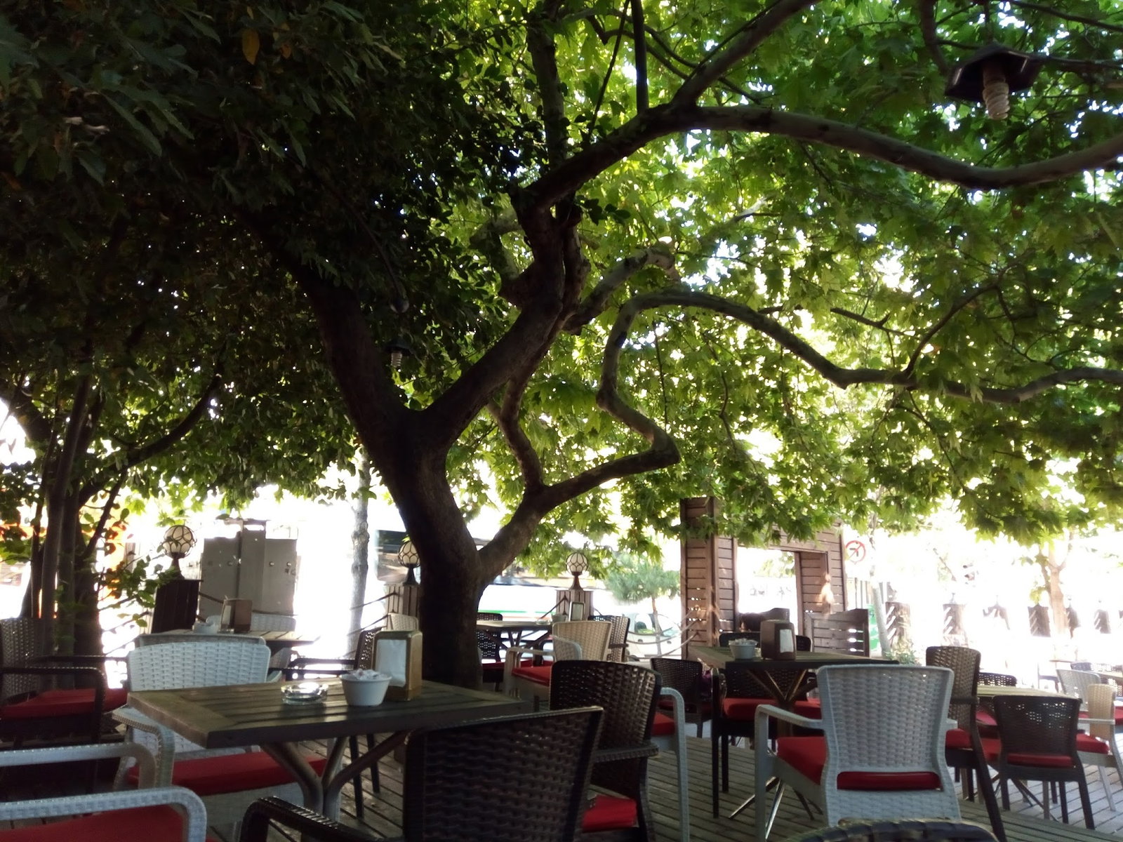 Serpil Park Aile Çay Bahçesi