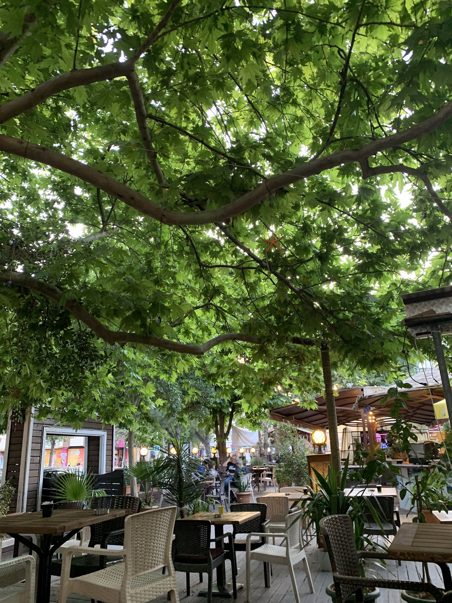 Serpil Park Aile Çay Bahçesi