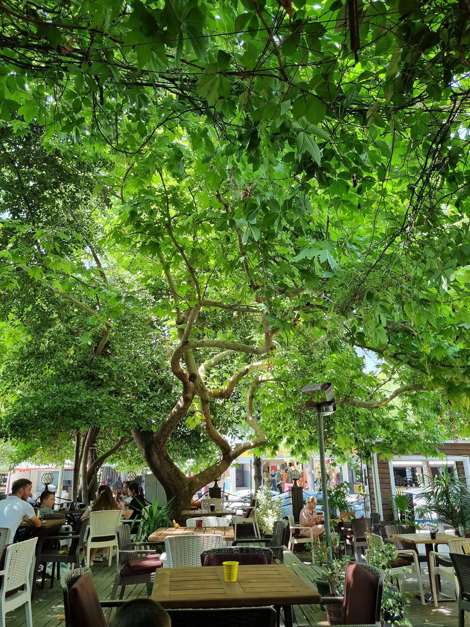 Serpil Park Aile Çay Bahçesi