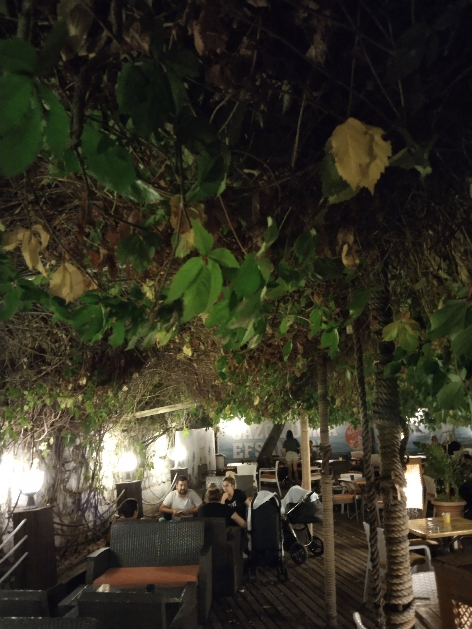 Serpil Park Aile Çay Bahçesi