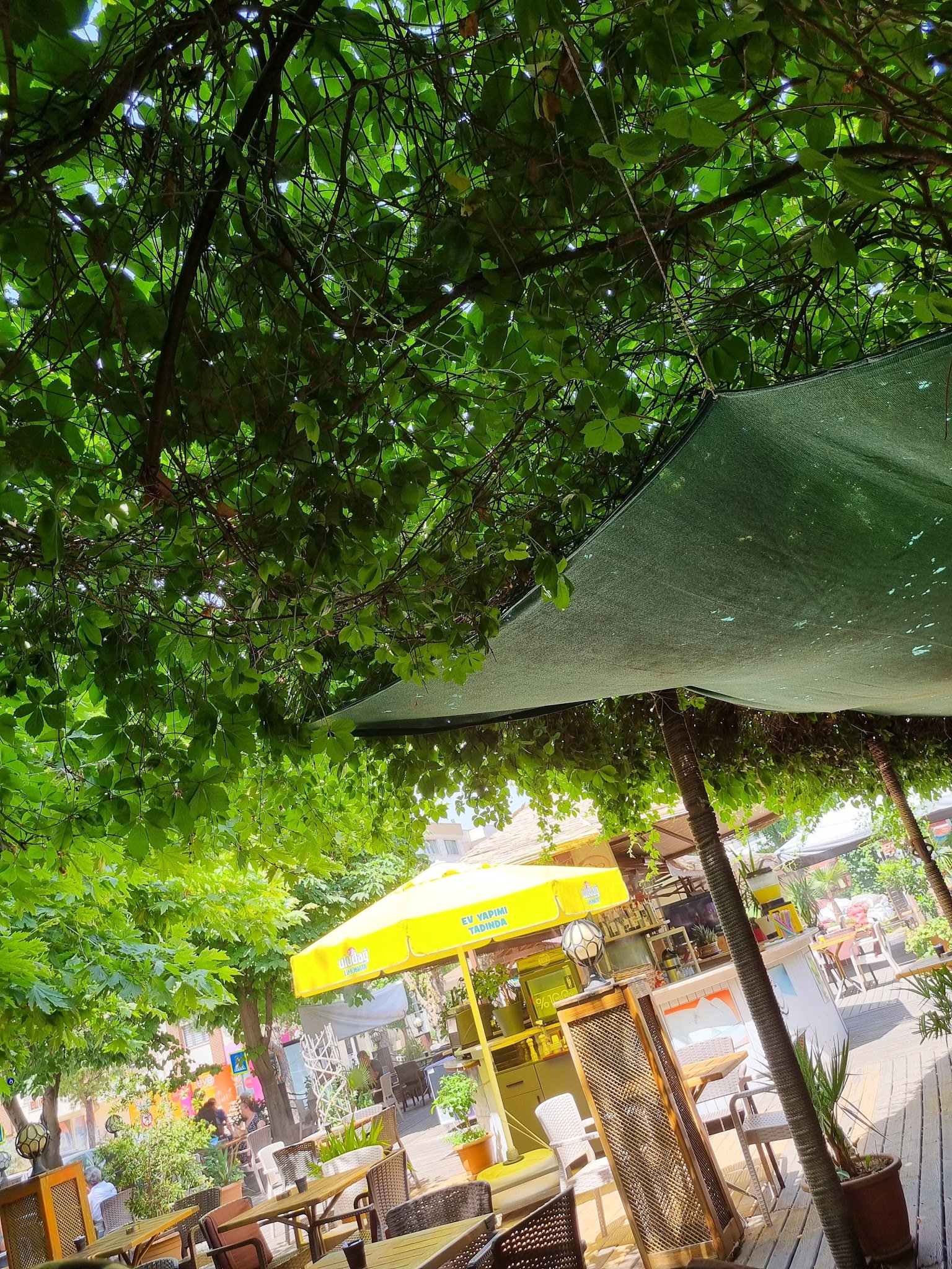 Serpil Park Aile Çay Bahçesi