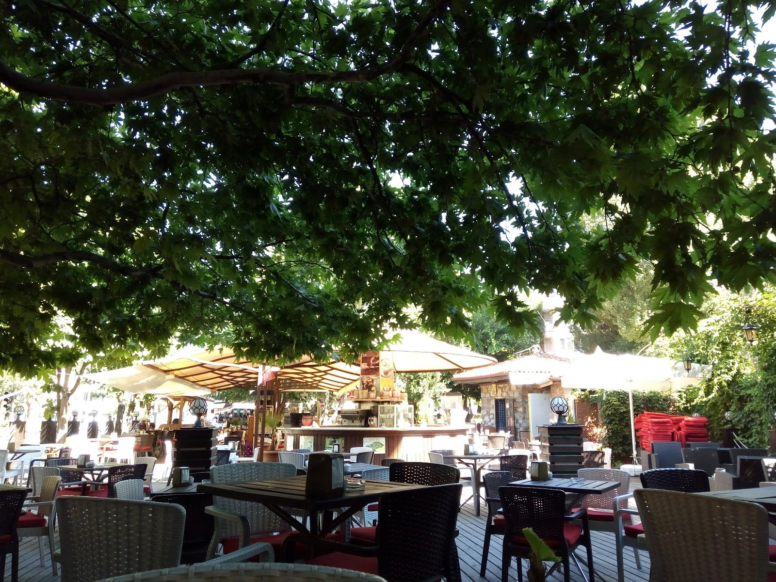 Serpil Park Aile Çay Bahçesi