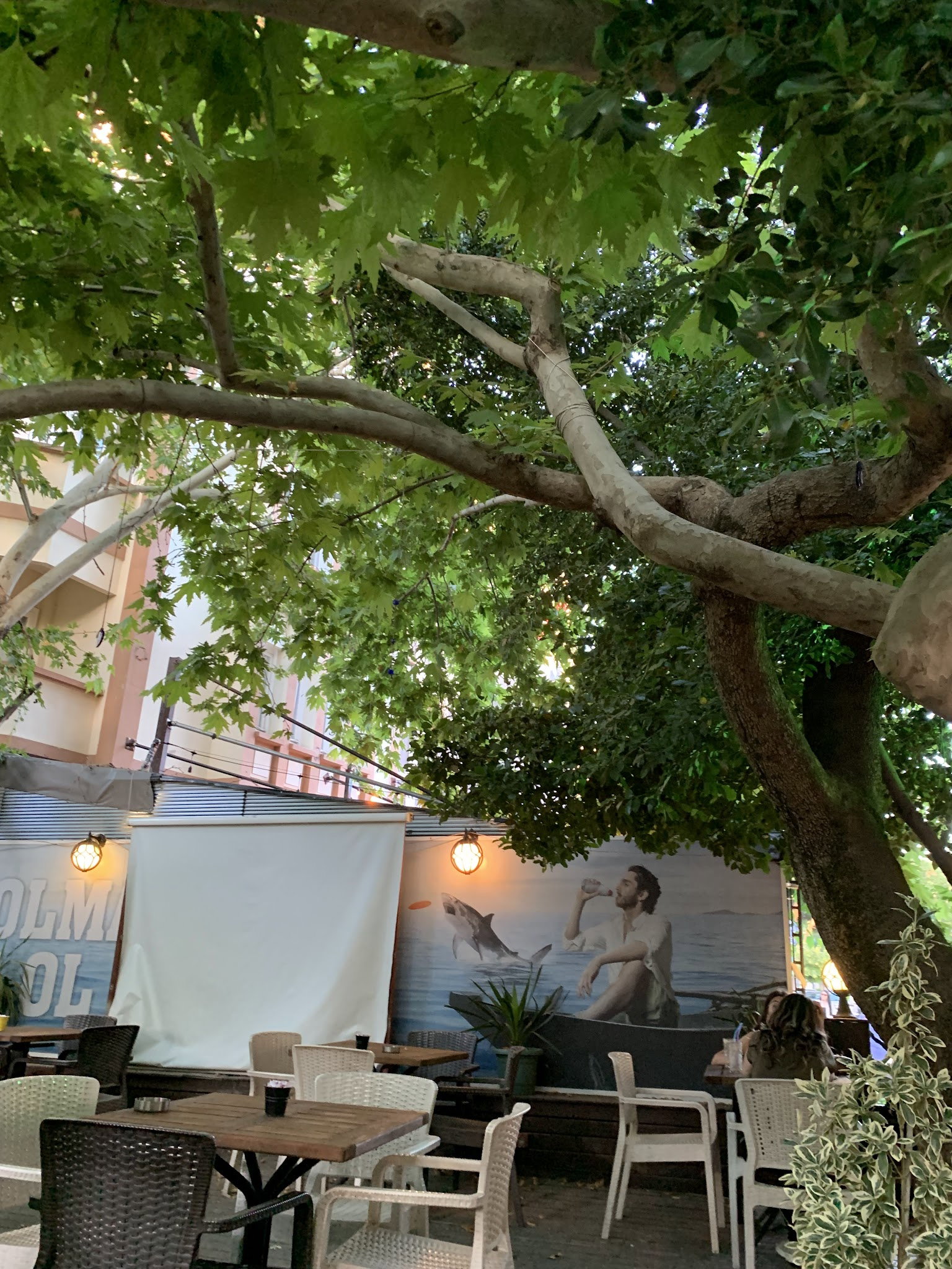 Serpil Park Aile Çay Bahçesi