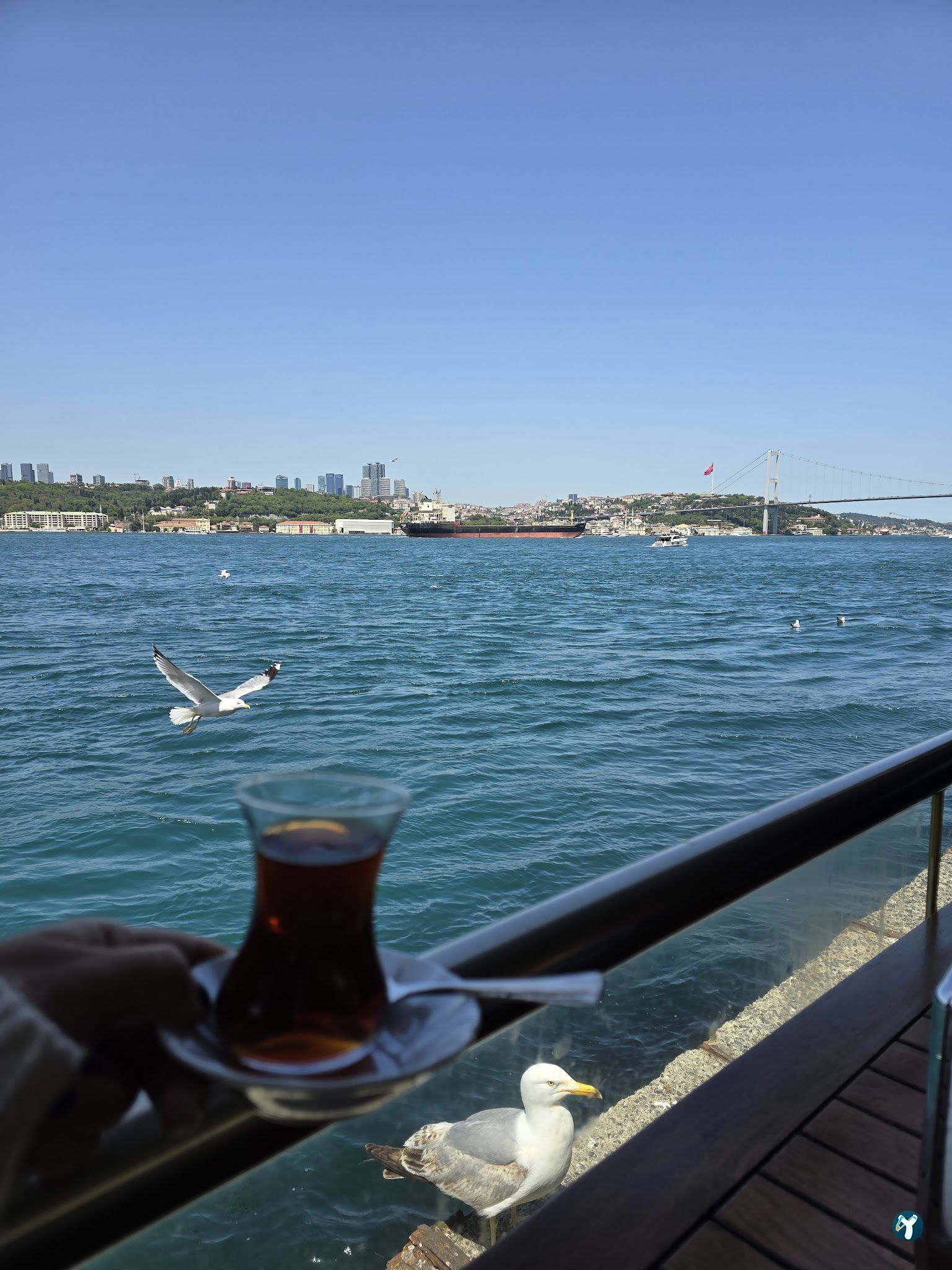 Beltur Restoran