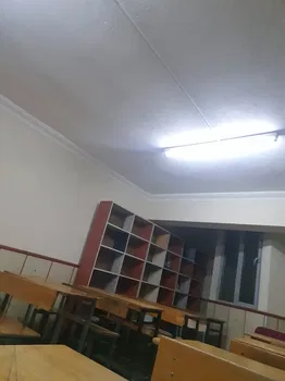 Kirçiçeği resimleri
