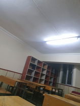 Kirçiçeği