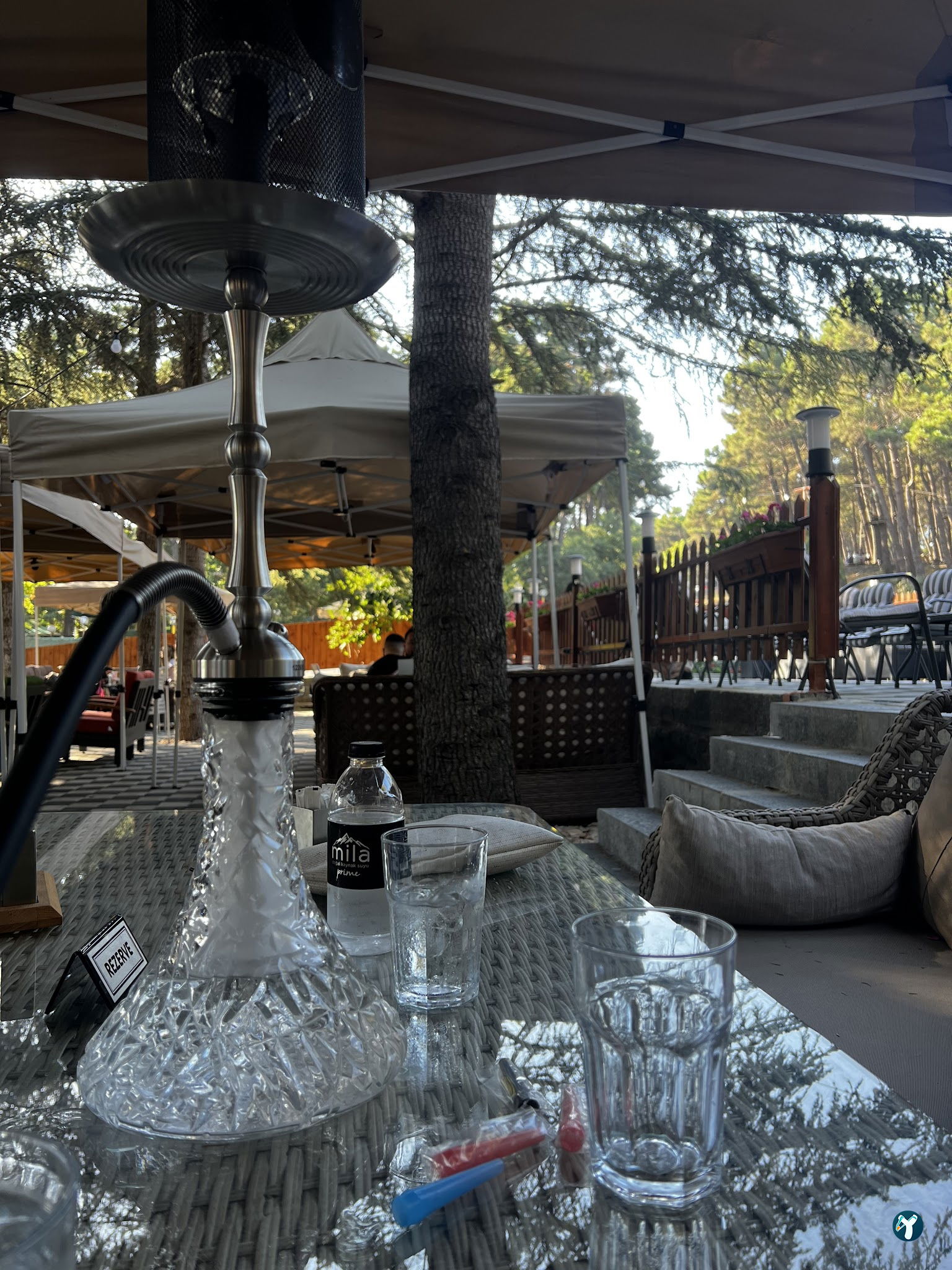 Wow Cafe