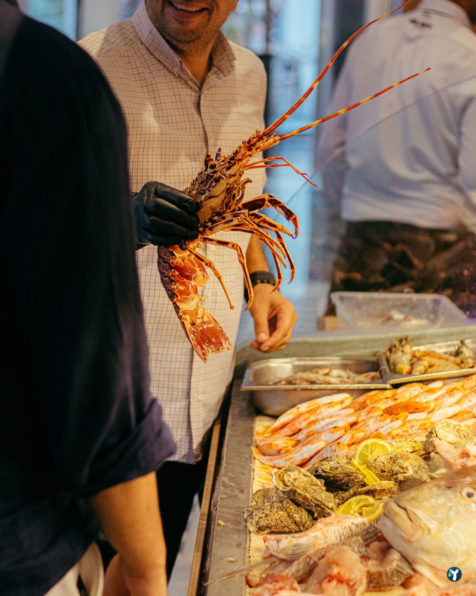 Ferdi Baba Restaurant - Çeşme Port Alaçatı