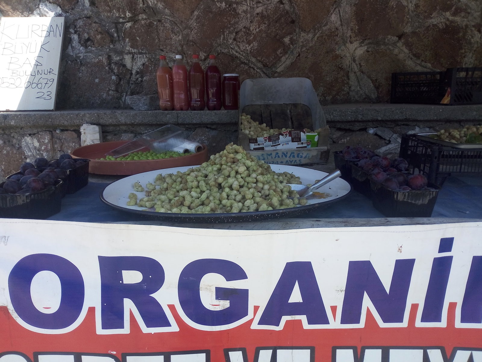 Ayaş Çeşme Piknik - Köfte, Şiş, Közde Çay