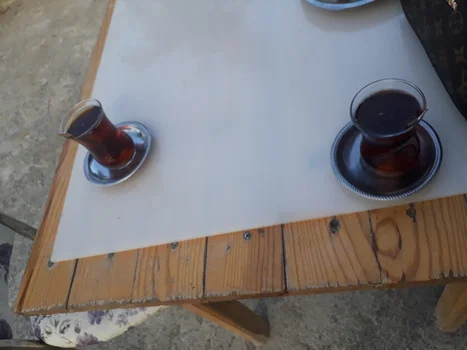 Ayaş Çeşme Piknik - Köfte, Şiş, Közde Çay resimleri