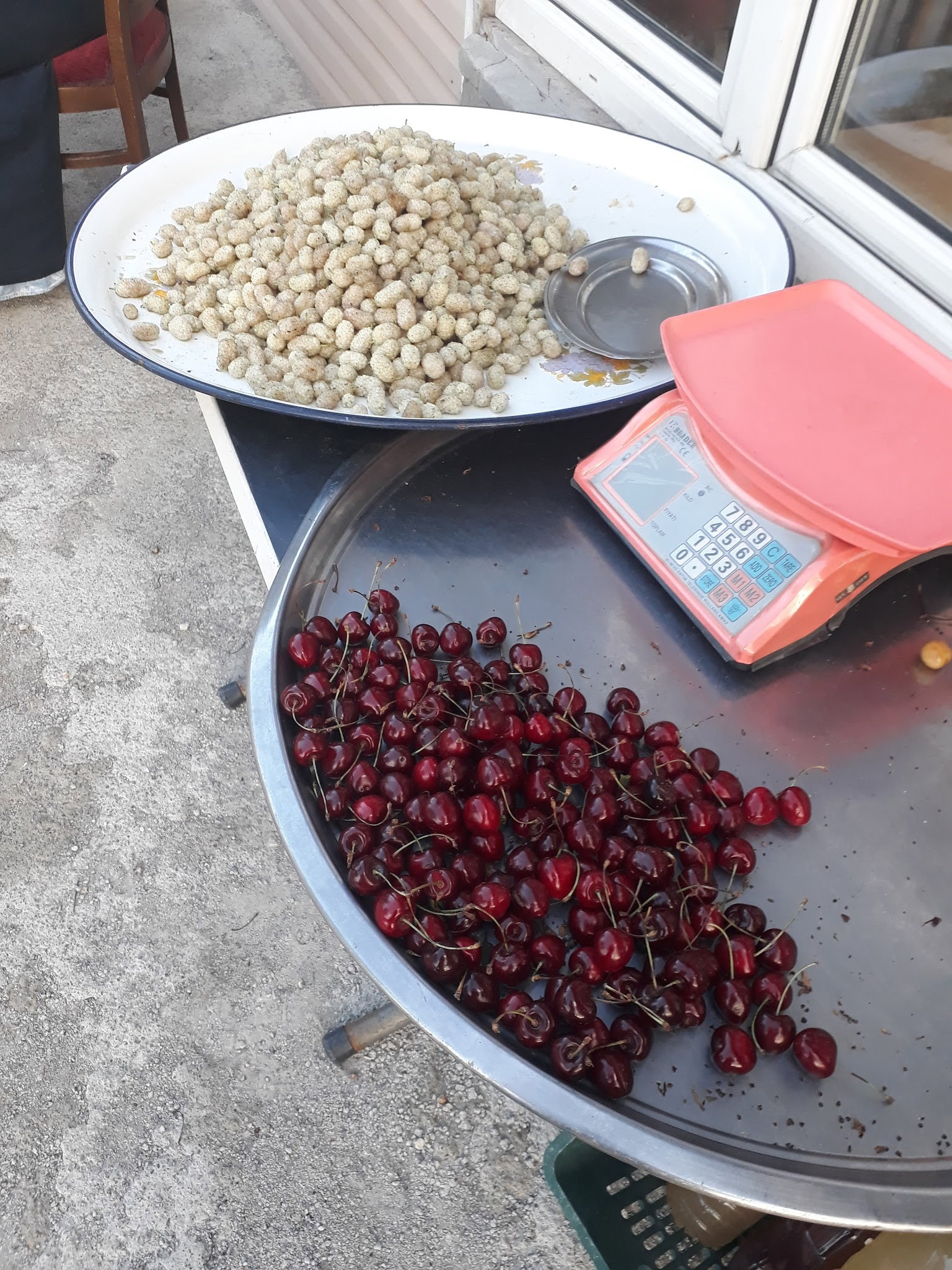 Ayaş Çeşme Piknik - Köfte, Şiş, Közde Çay