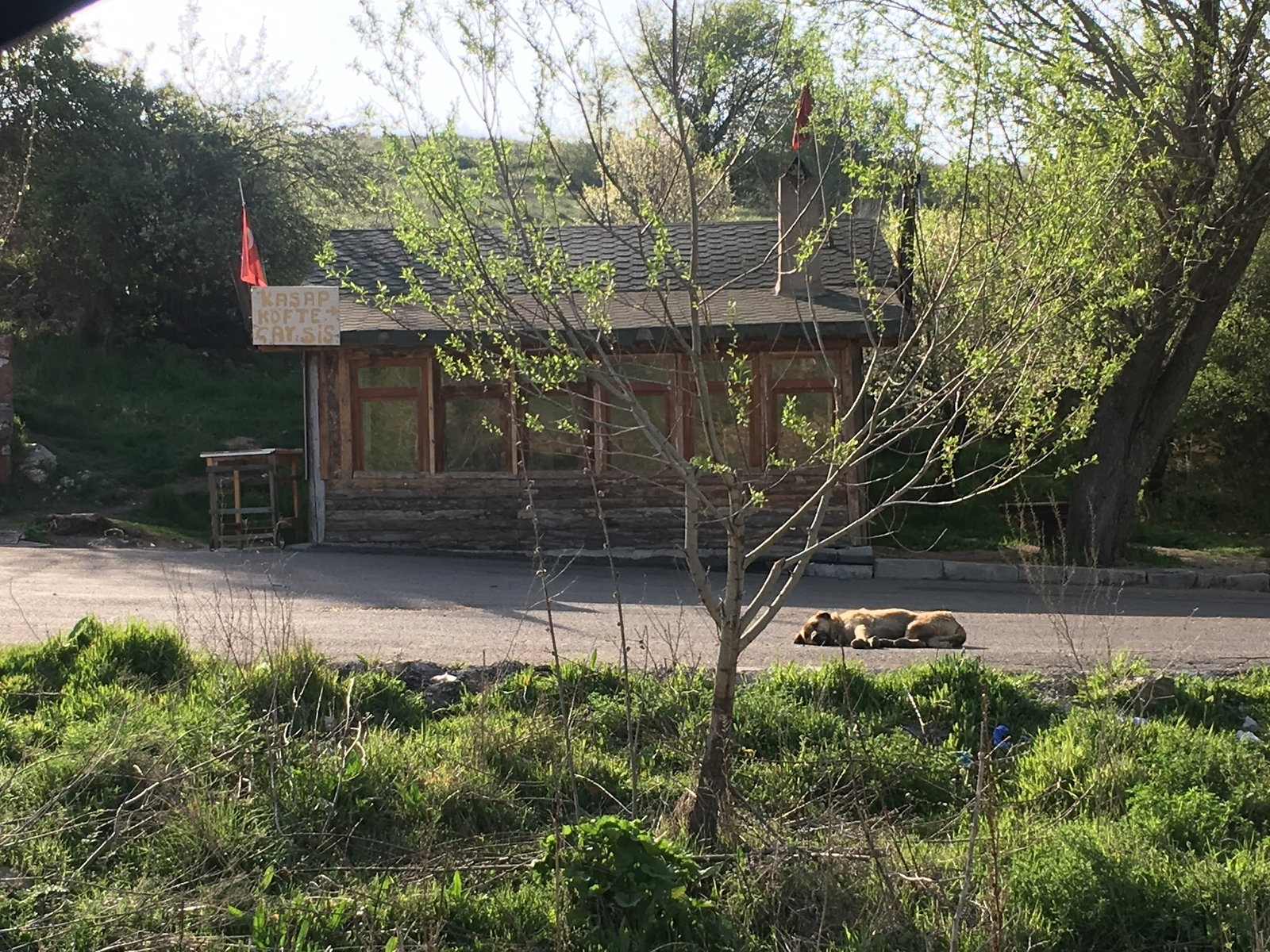 Ayaş Çeşme Piknik - Köfte, Şiş, Közde Çay