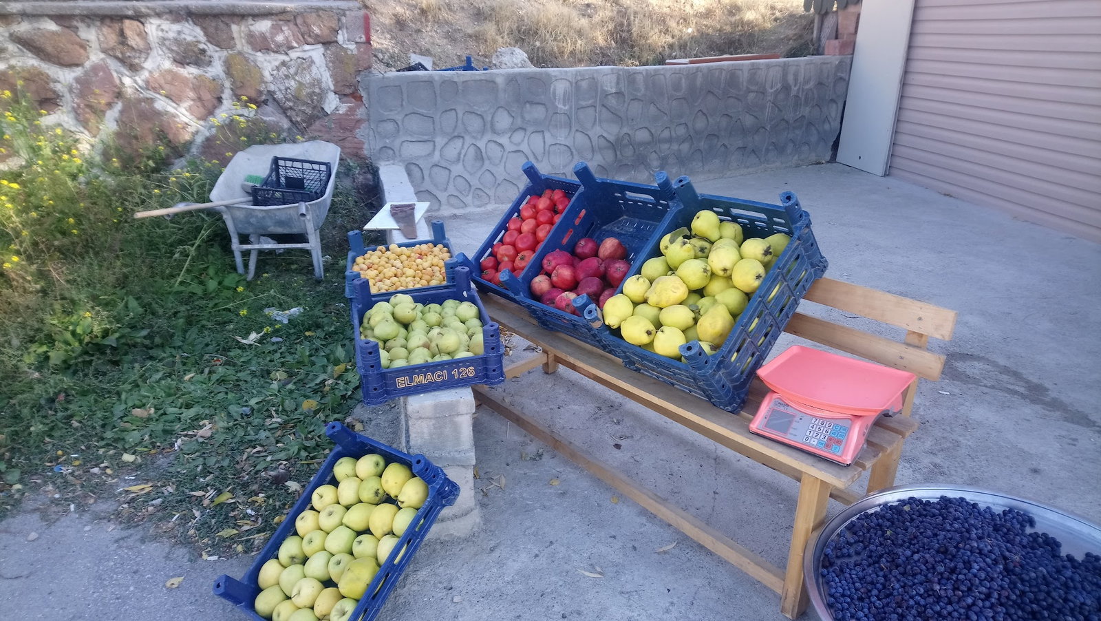 Ayaş Çeşme Piknik - Köfte, Şiş, Közde Çay