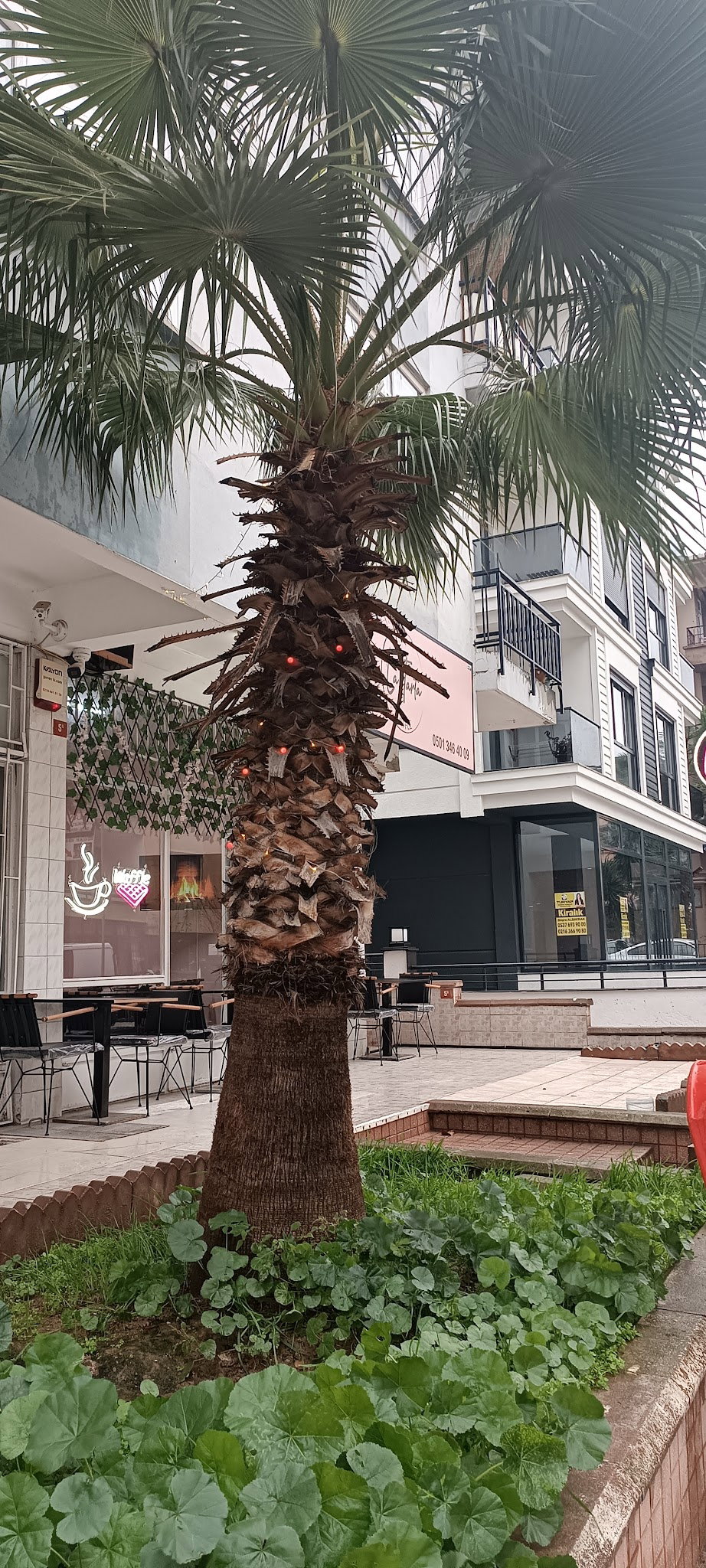 La Tarta Waffle Ve Tatli Dünyasi Maltepe