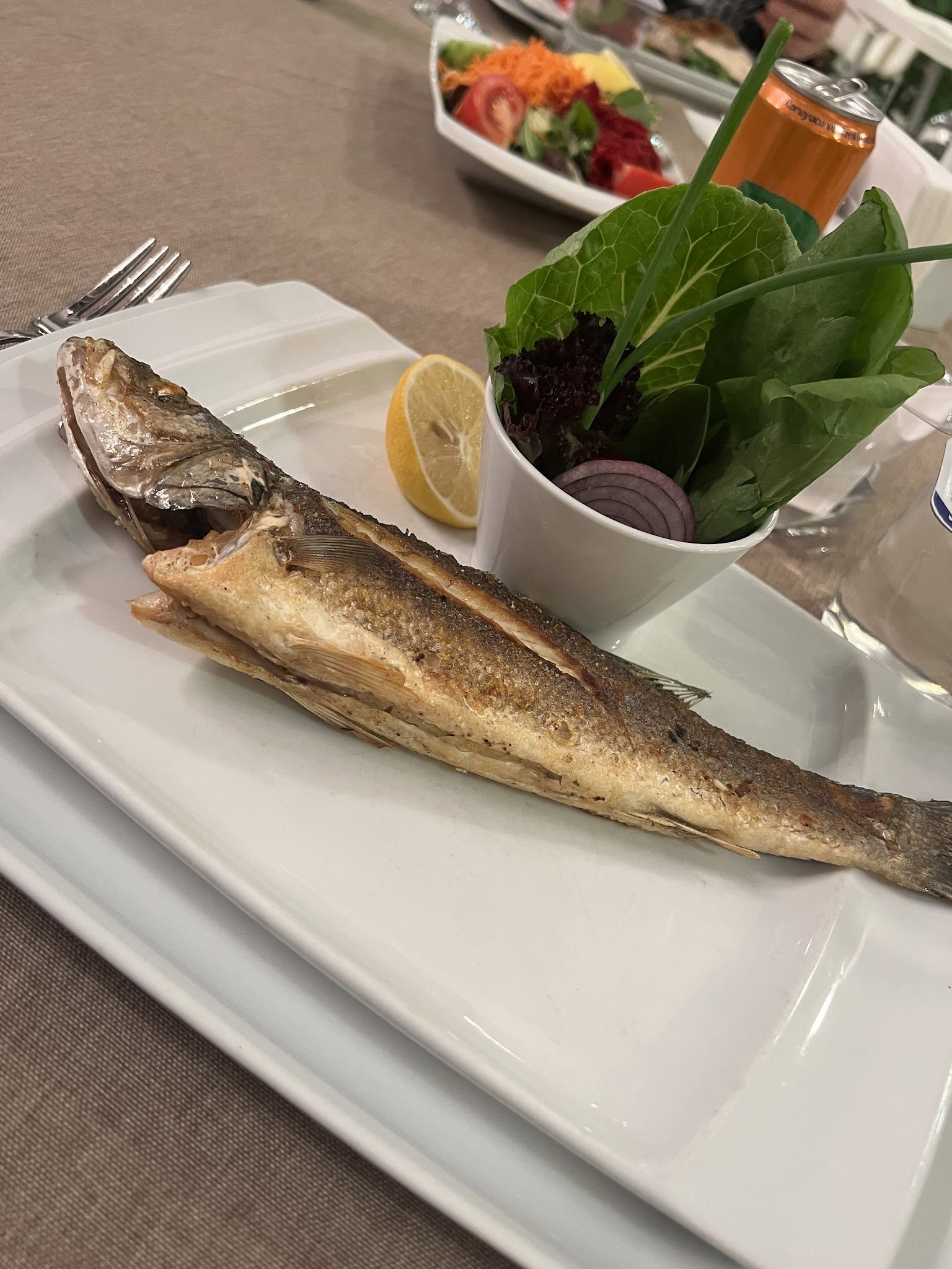 Tbmm Eğitim Ve Sosyal Tesisleri(Ala Restoran)