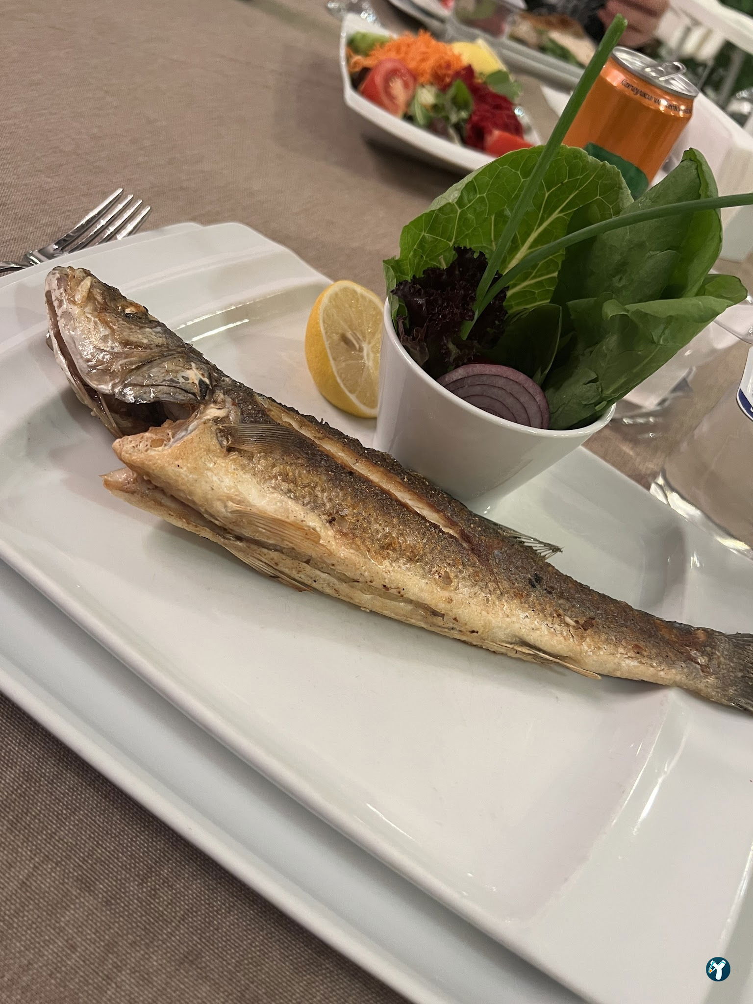 Tbmm Eğitim Ve Sosyal Tesisleri(Ala Restoran)