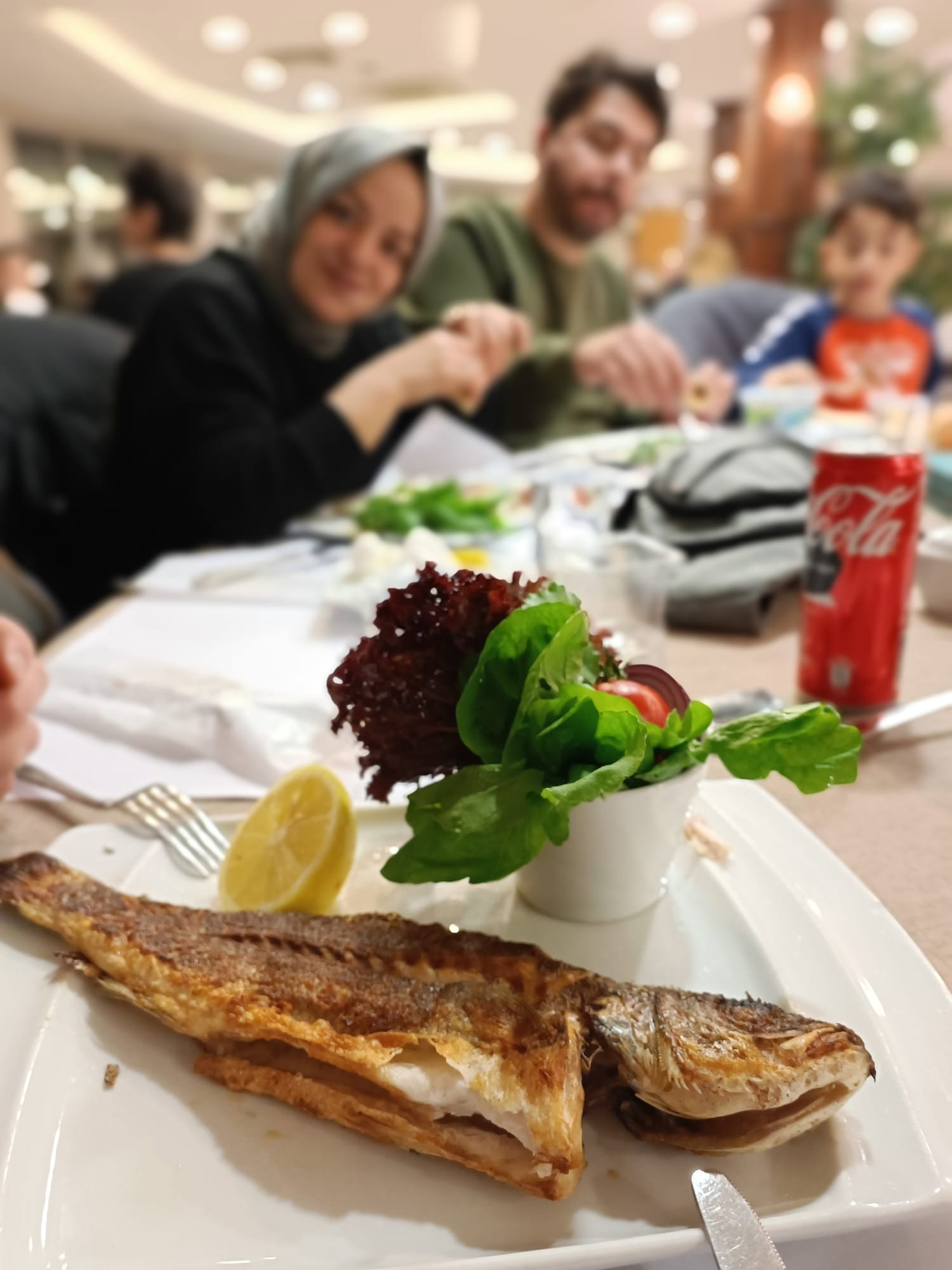 Tbmm Eğitim Ve Sosyal Tesisleri(Ala Restoran)