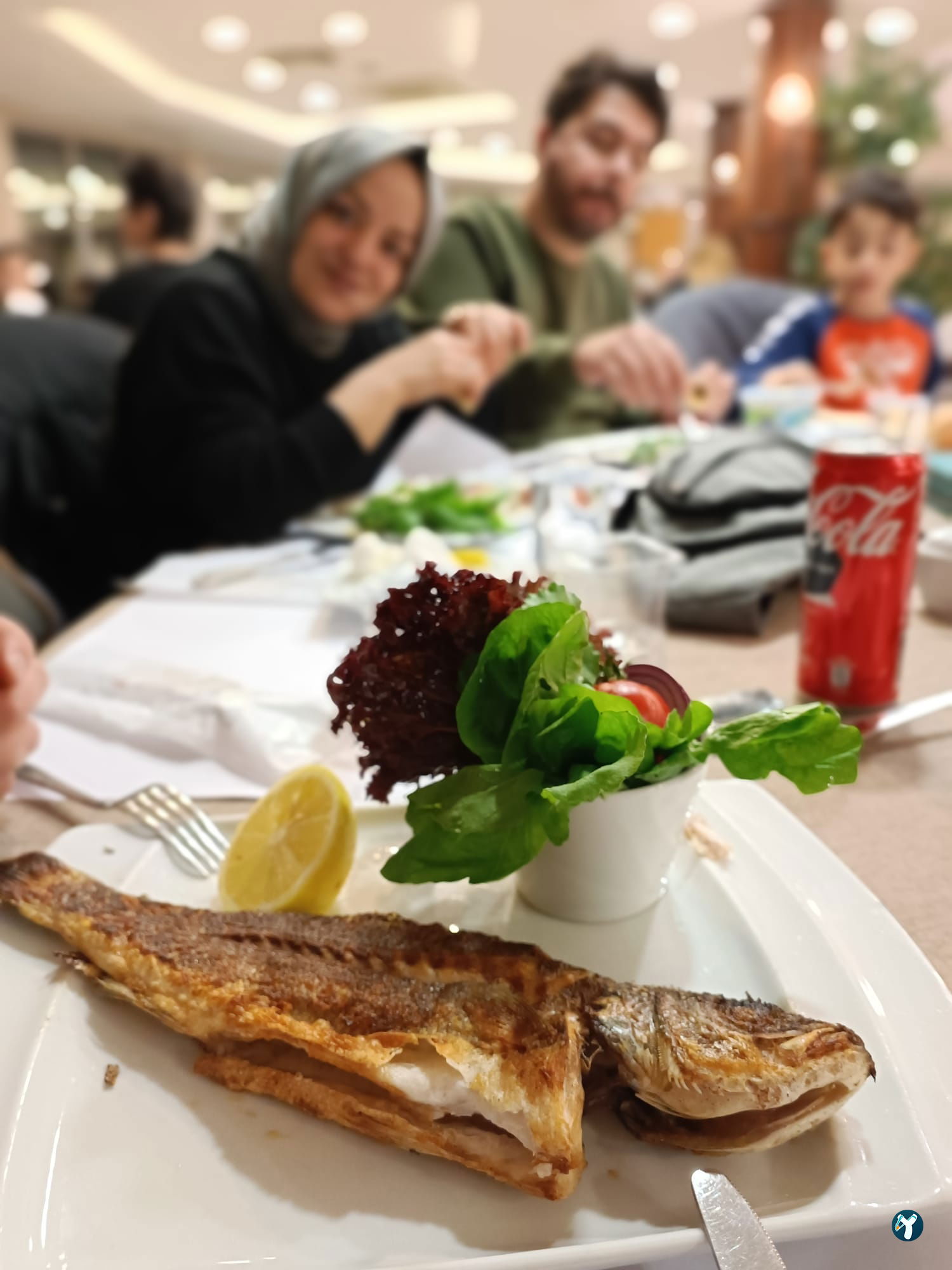 Tbmm Eğitim Ve Sosyal Tesisleri(Ala Restoran)