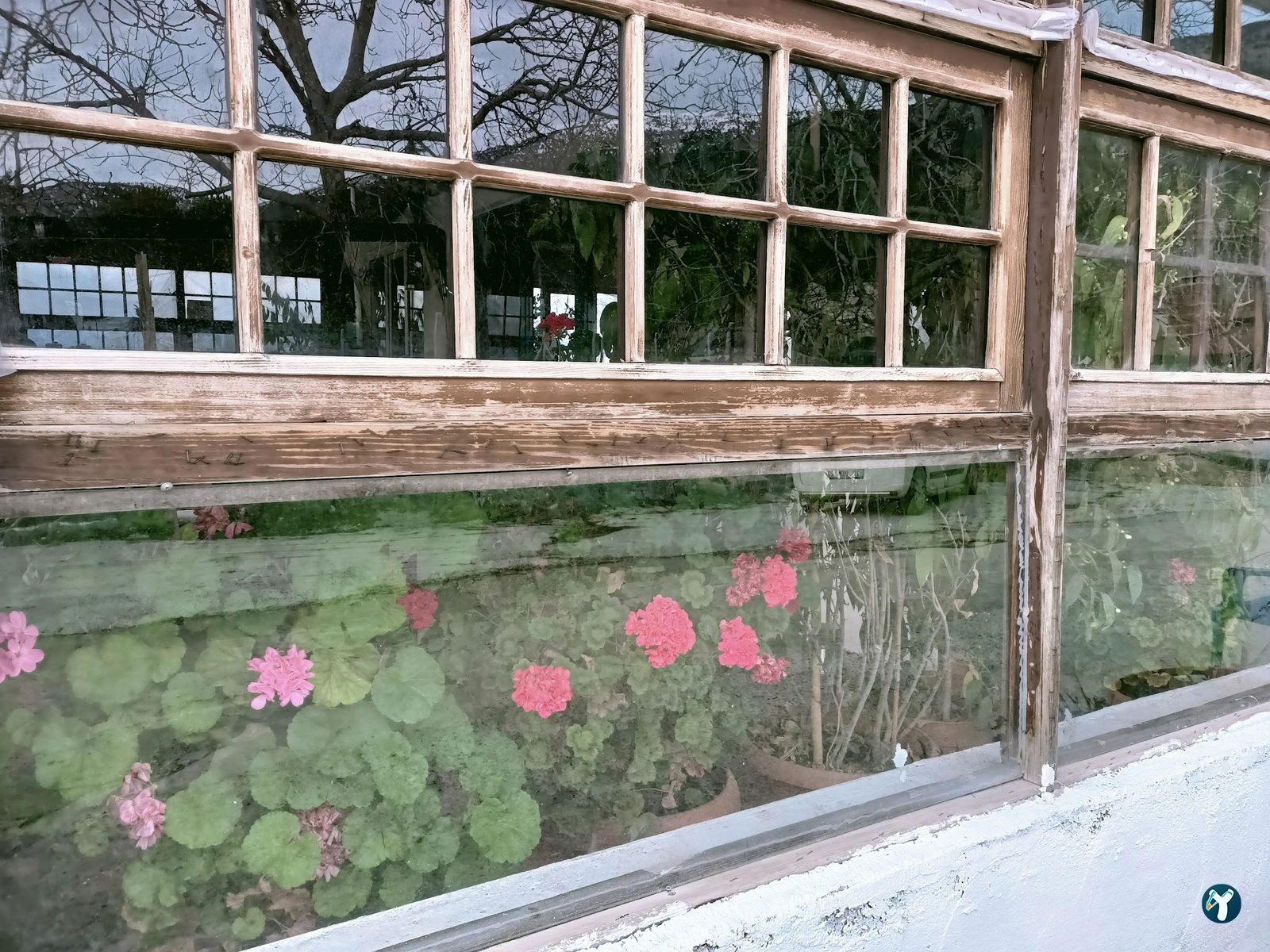 9 Oluk Mangal Restaurant