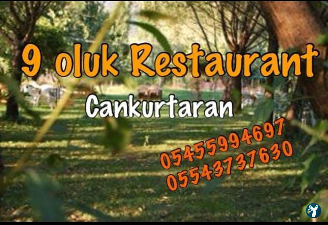 9 Oluk Mangal Restaurant