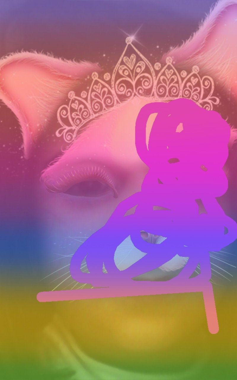 Şaşmaz Pide Kebap Salonu