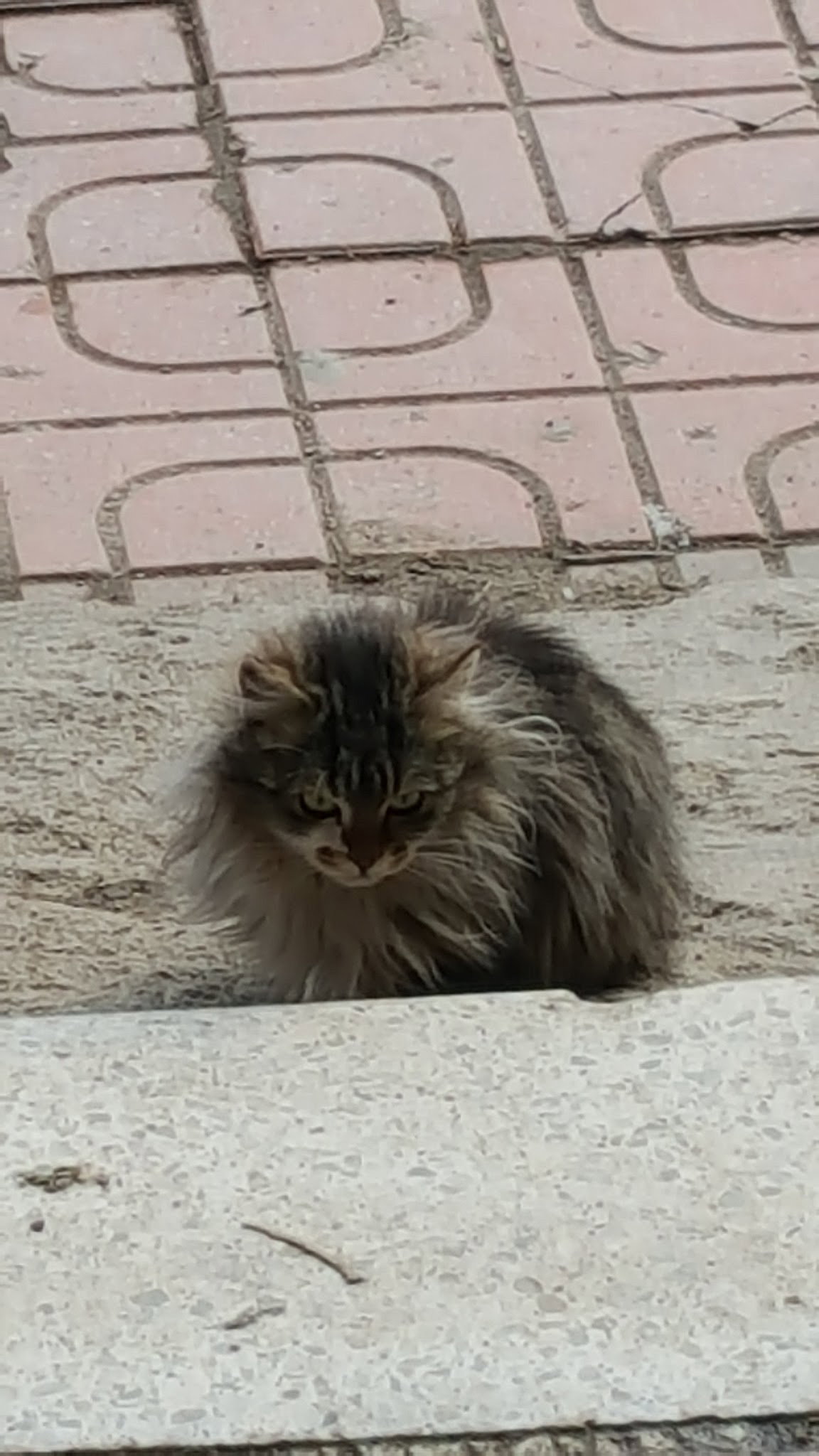 Boğaziçi Kır Lokantası Meşhur Beyazıt Usta