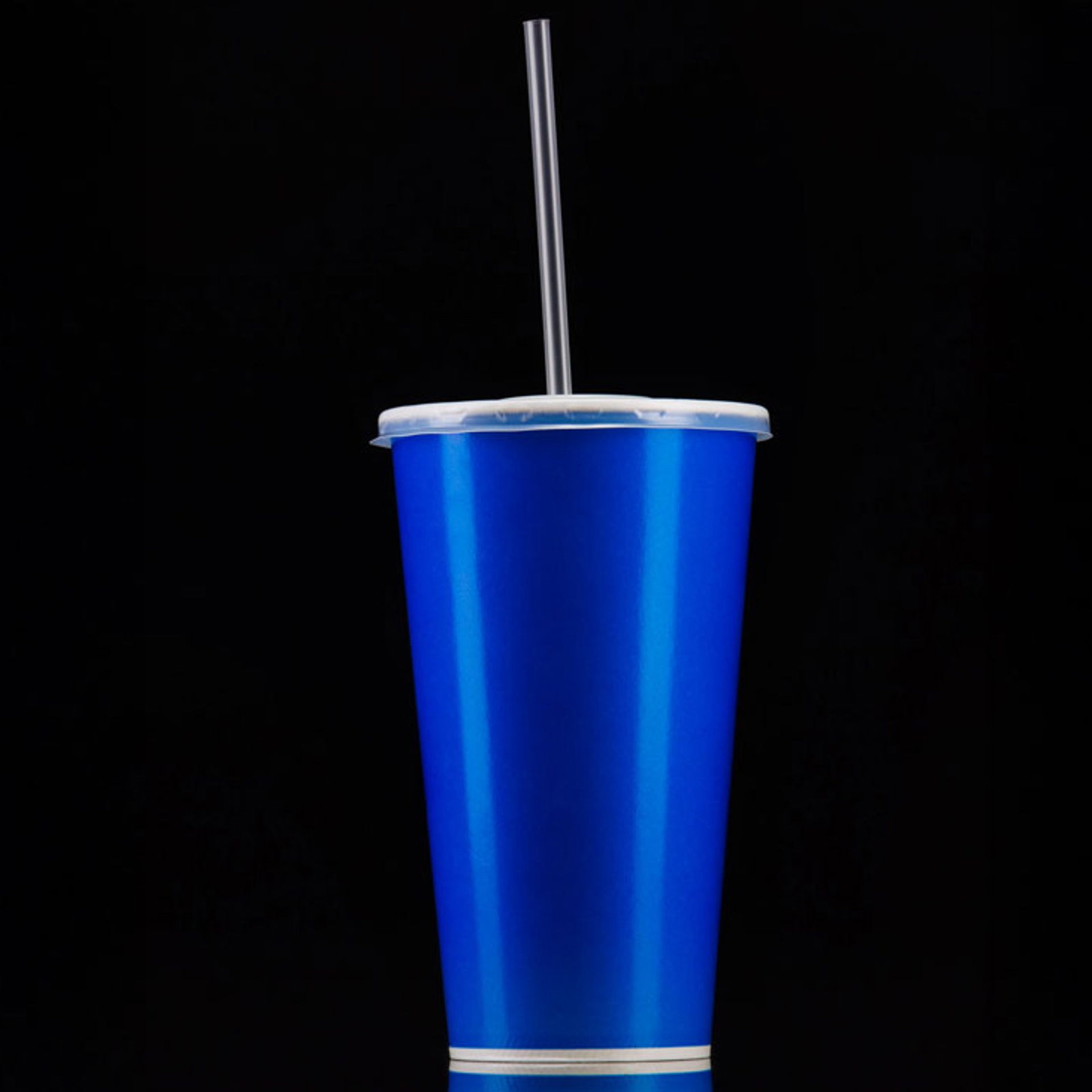 Zencefil Suyu (33 cl.)