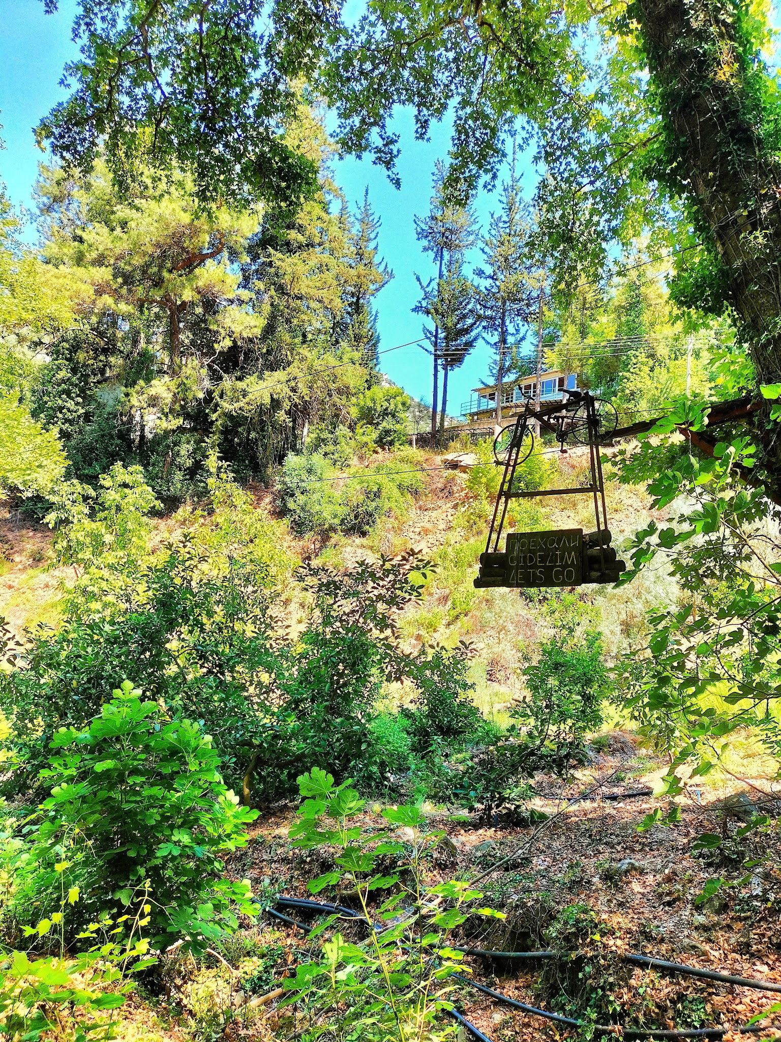 Şelale Cafe & Grill