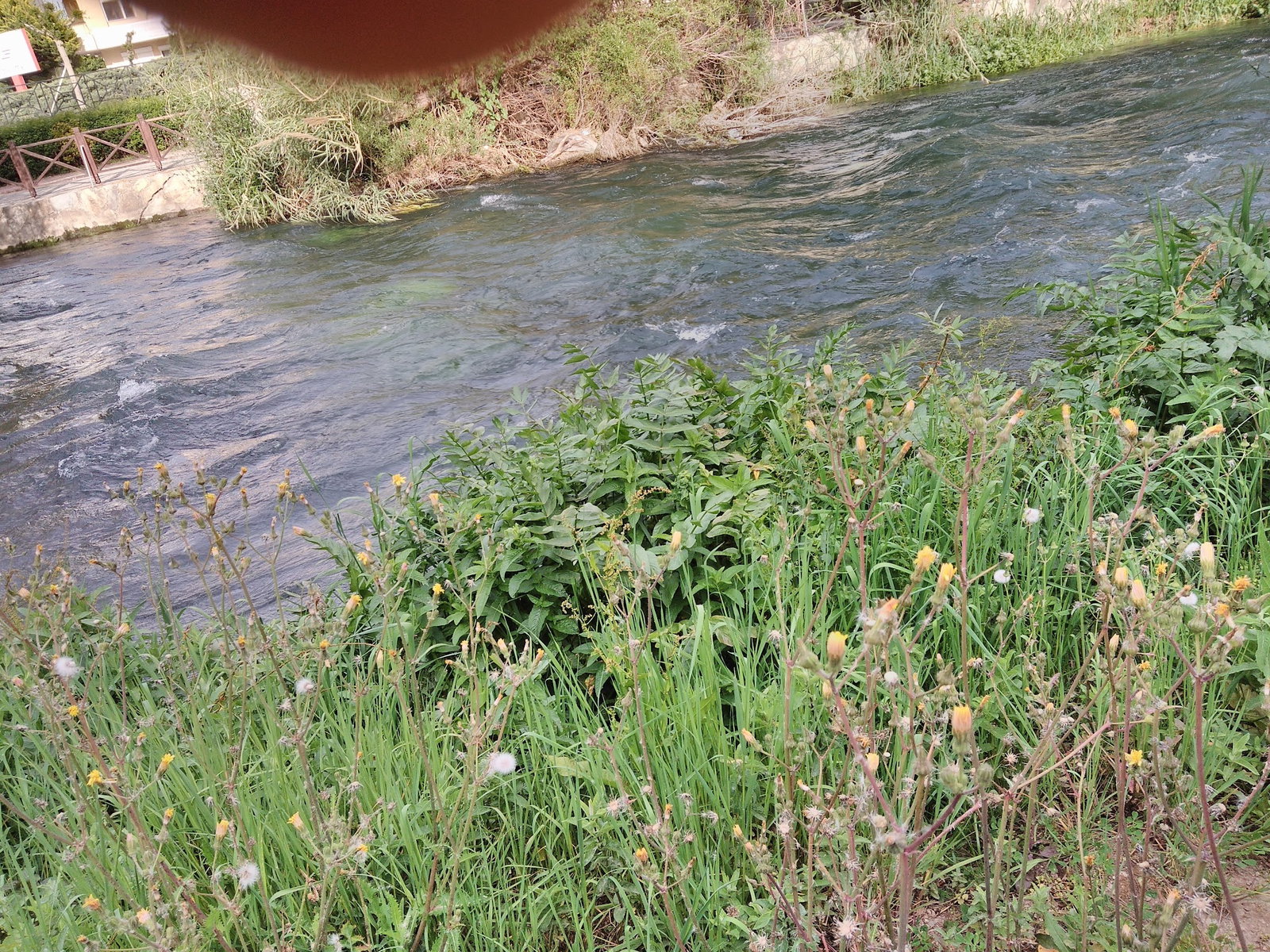 Şelale Cafe & Grill