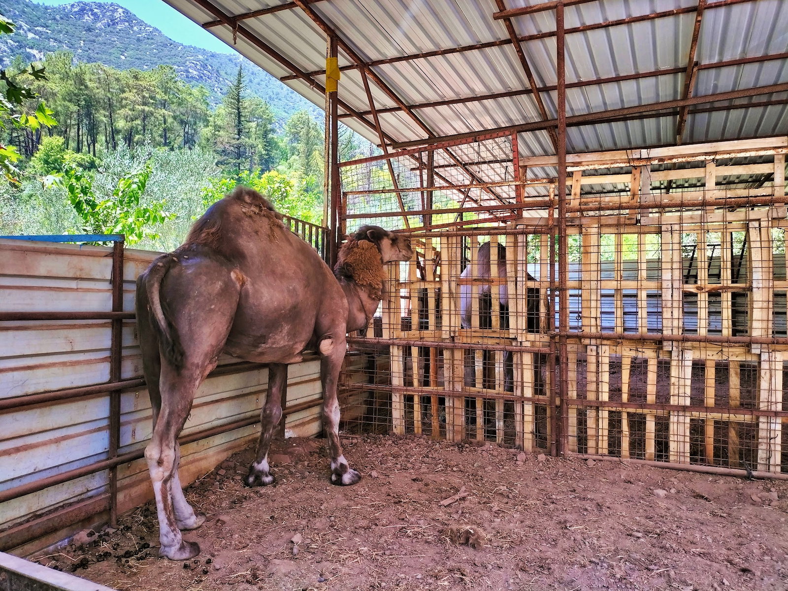 Şelale Cafe & Grill