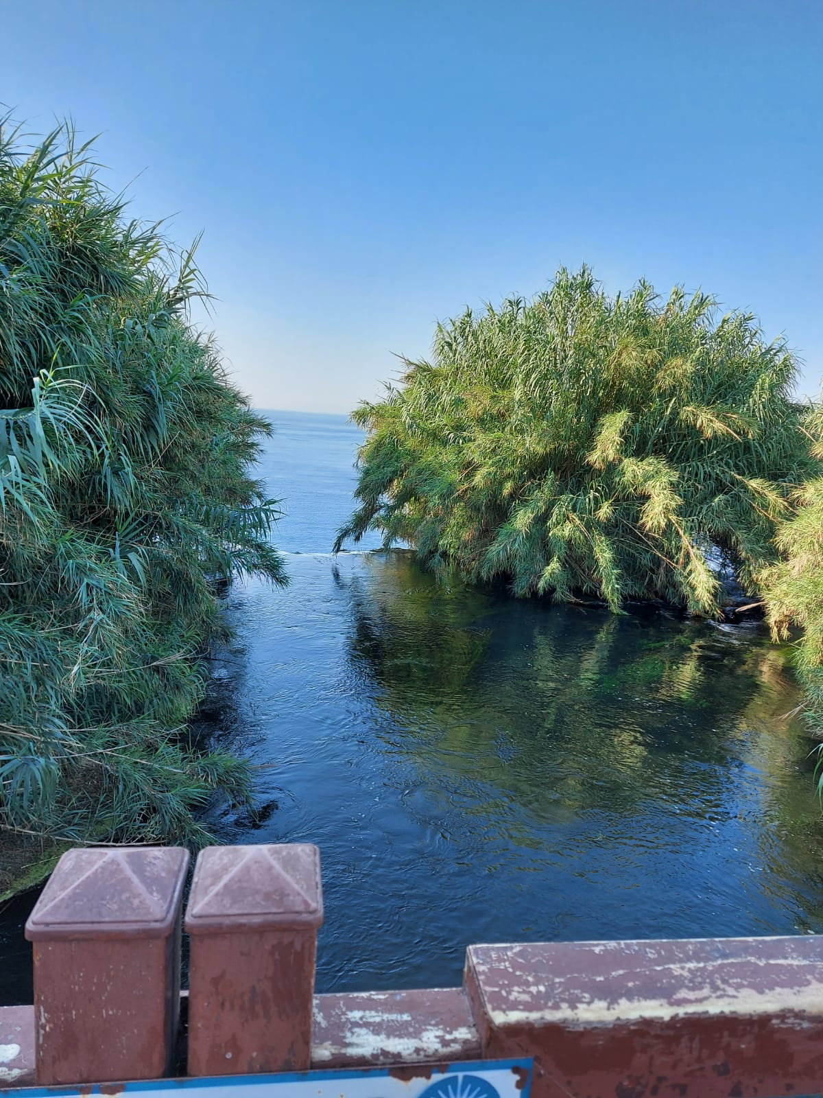 Şelale Cafe & Grill