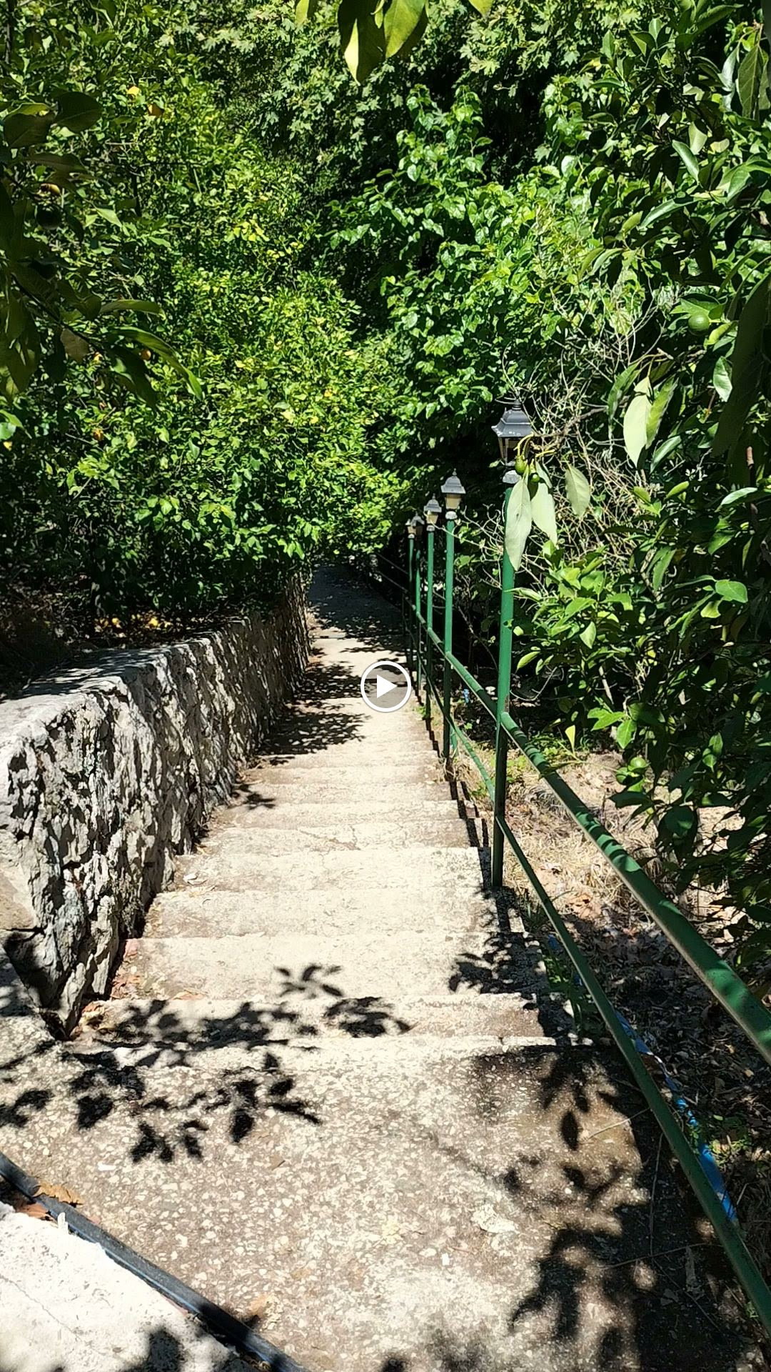 Şelale Cafe & Grill