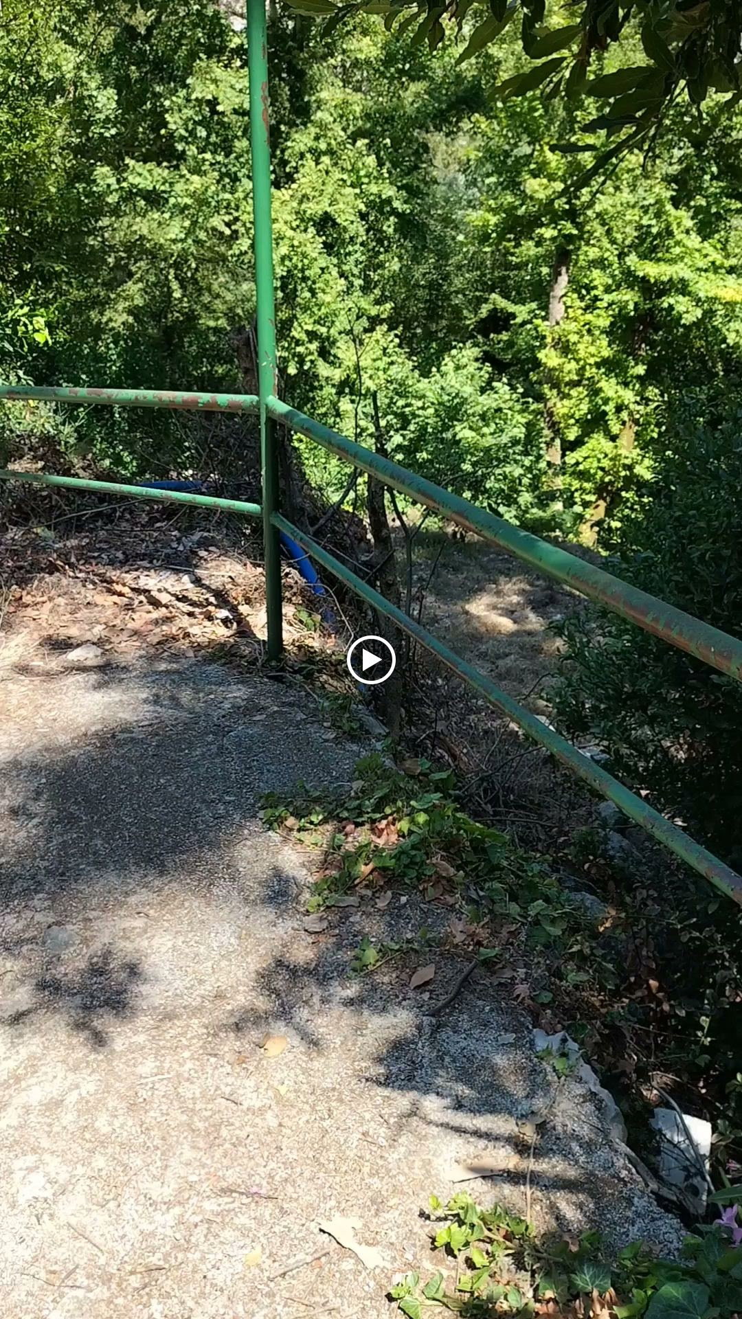 Şelale Cafe & Grill