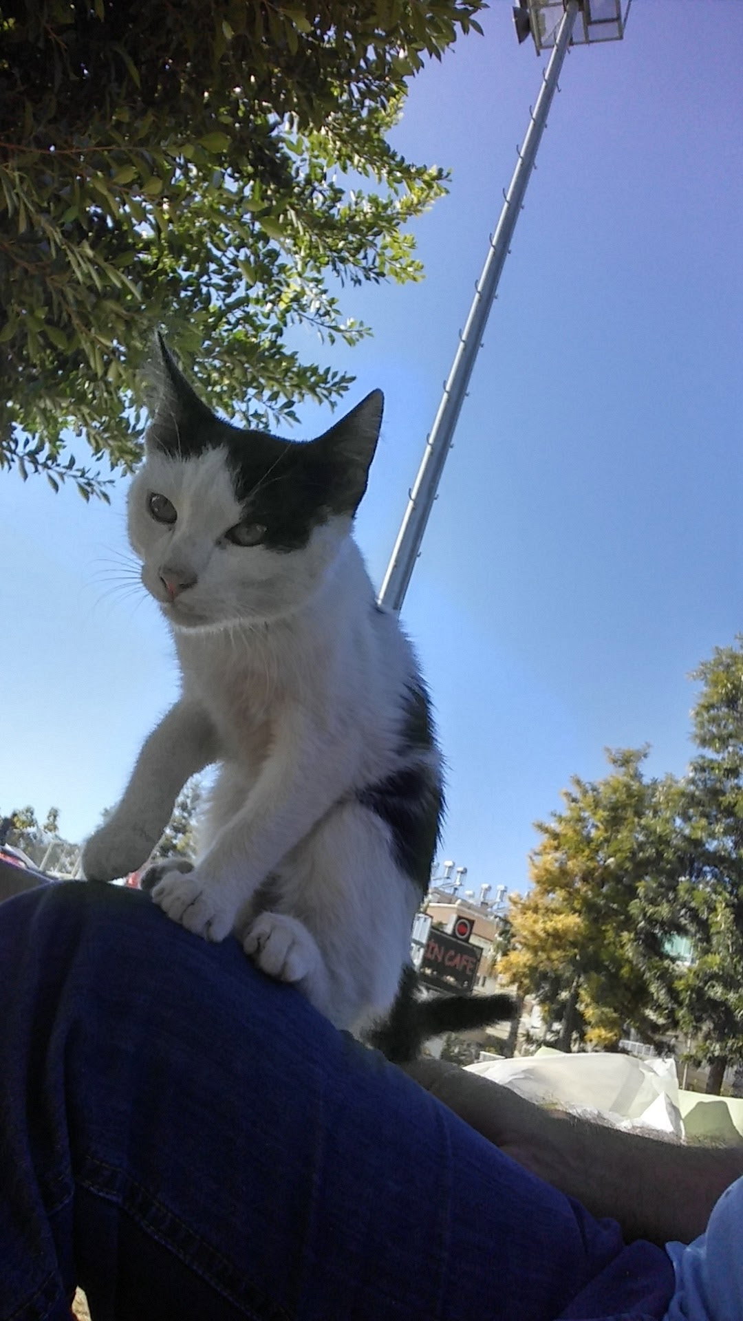 Şelale Cafe & Grill