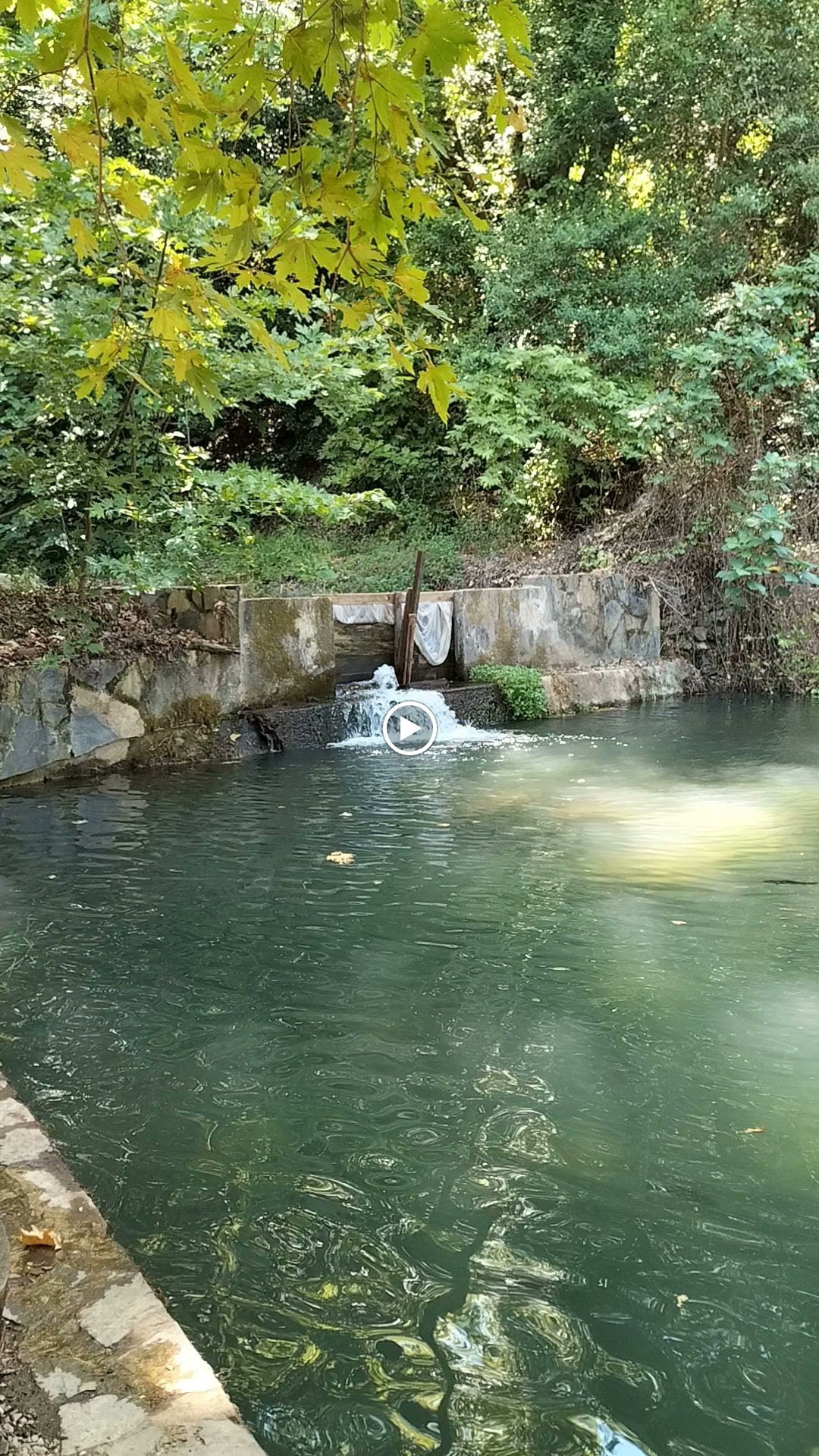 Şelale Cafe & Grill