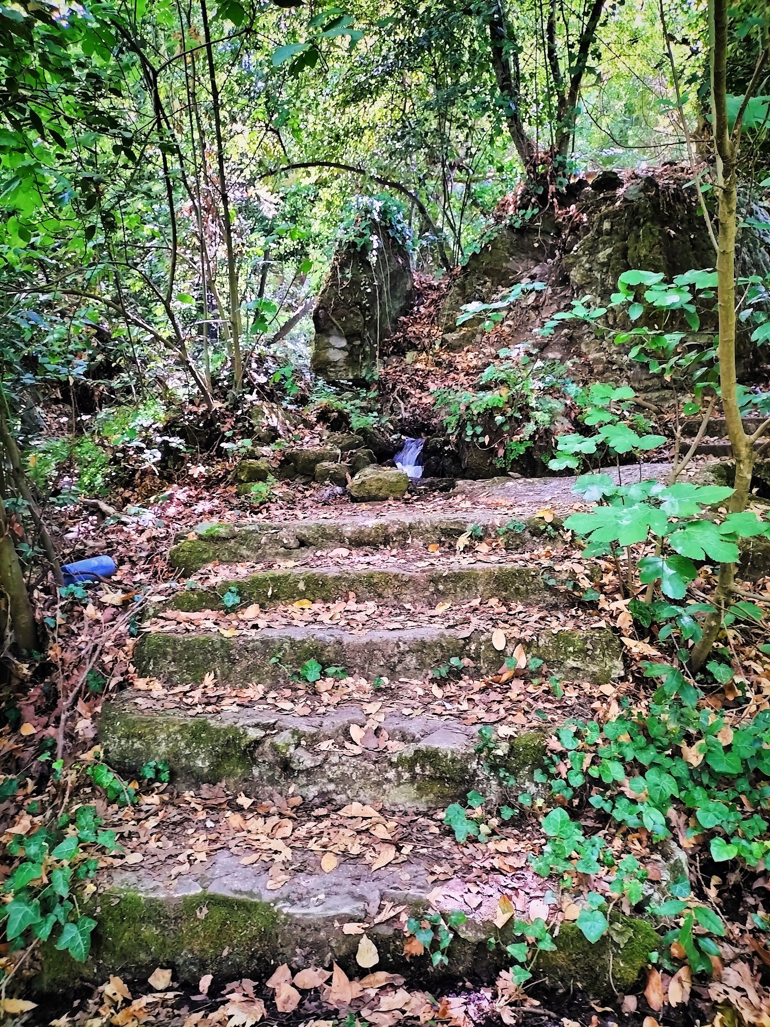 Şelale Cafe & Grill