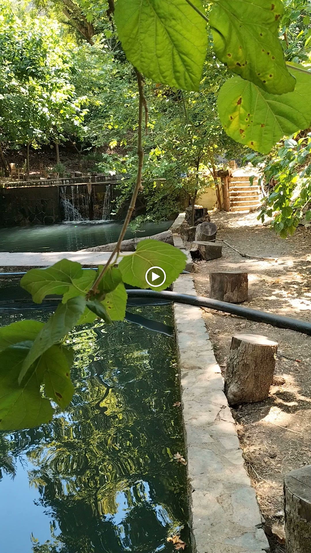 Şelale Cafe & Grill