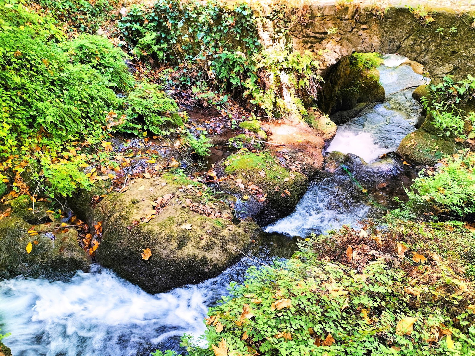 Şelale Cafe & Grill