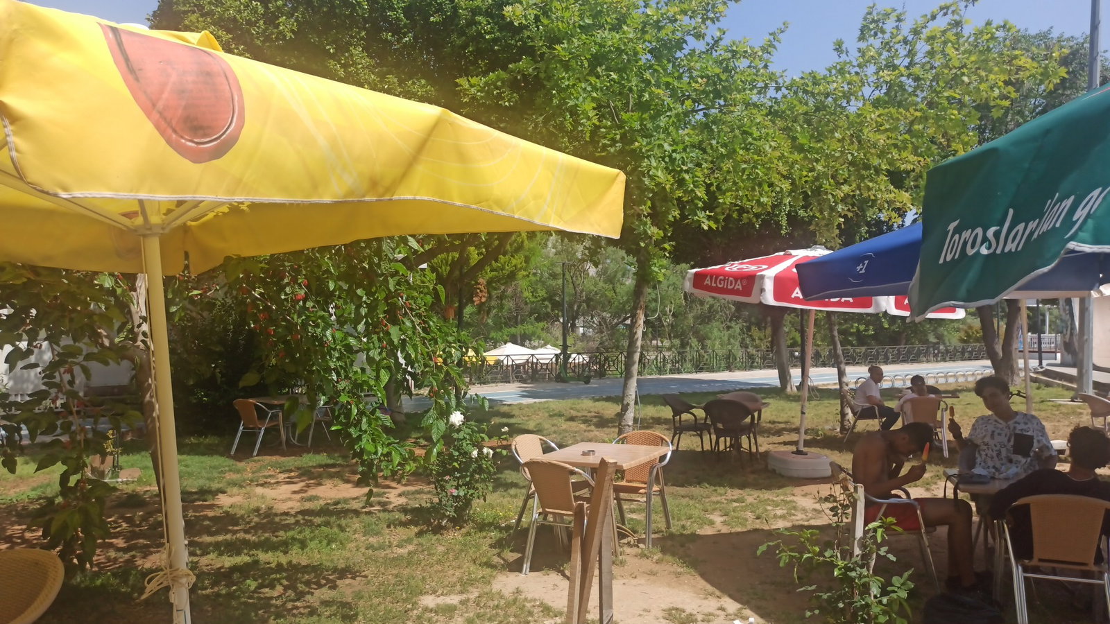 Şelale Cafe & Grill