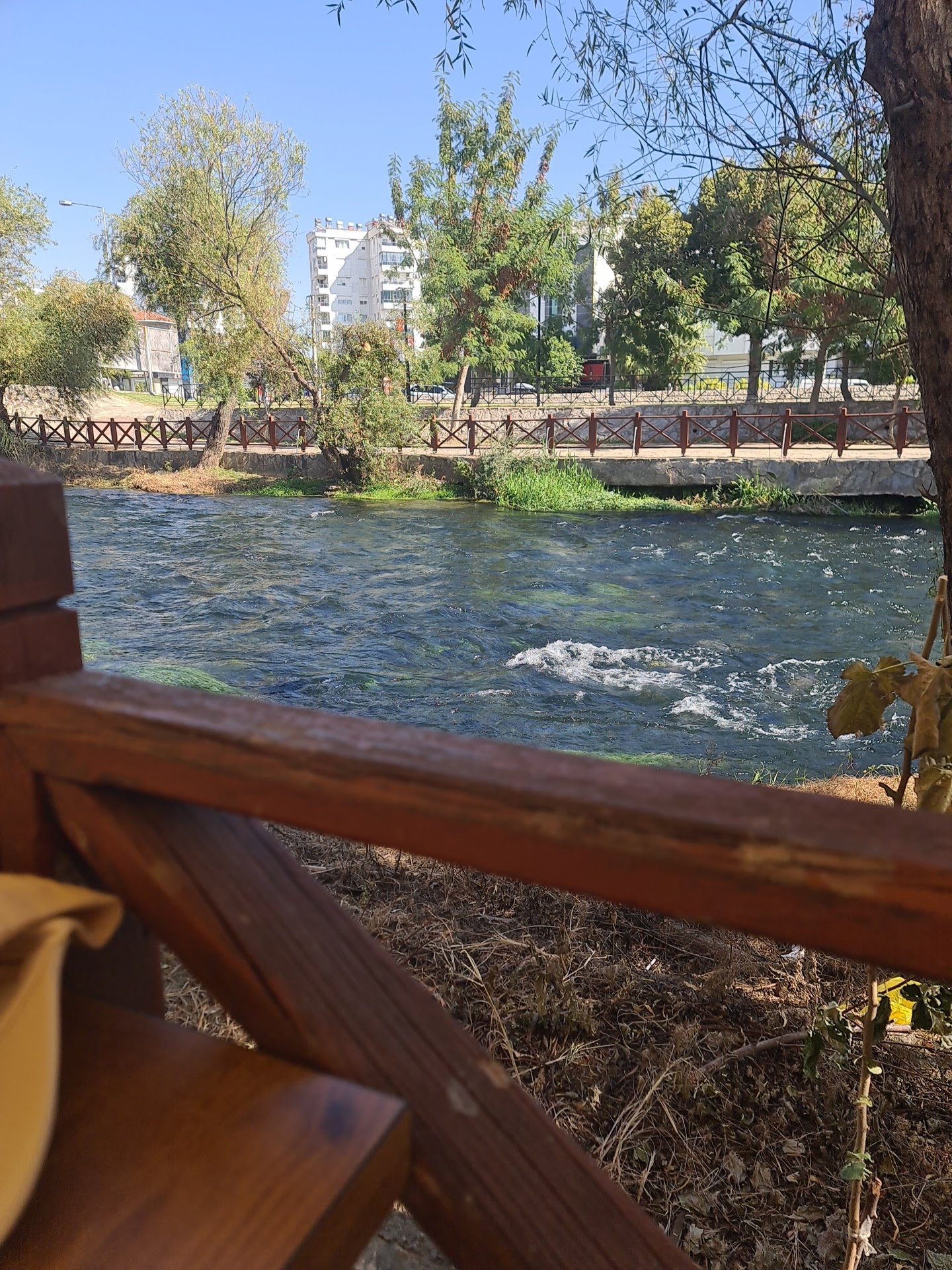 Şelale Cafe & Grill