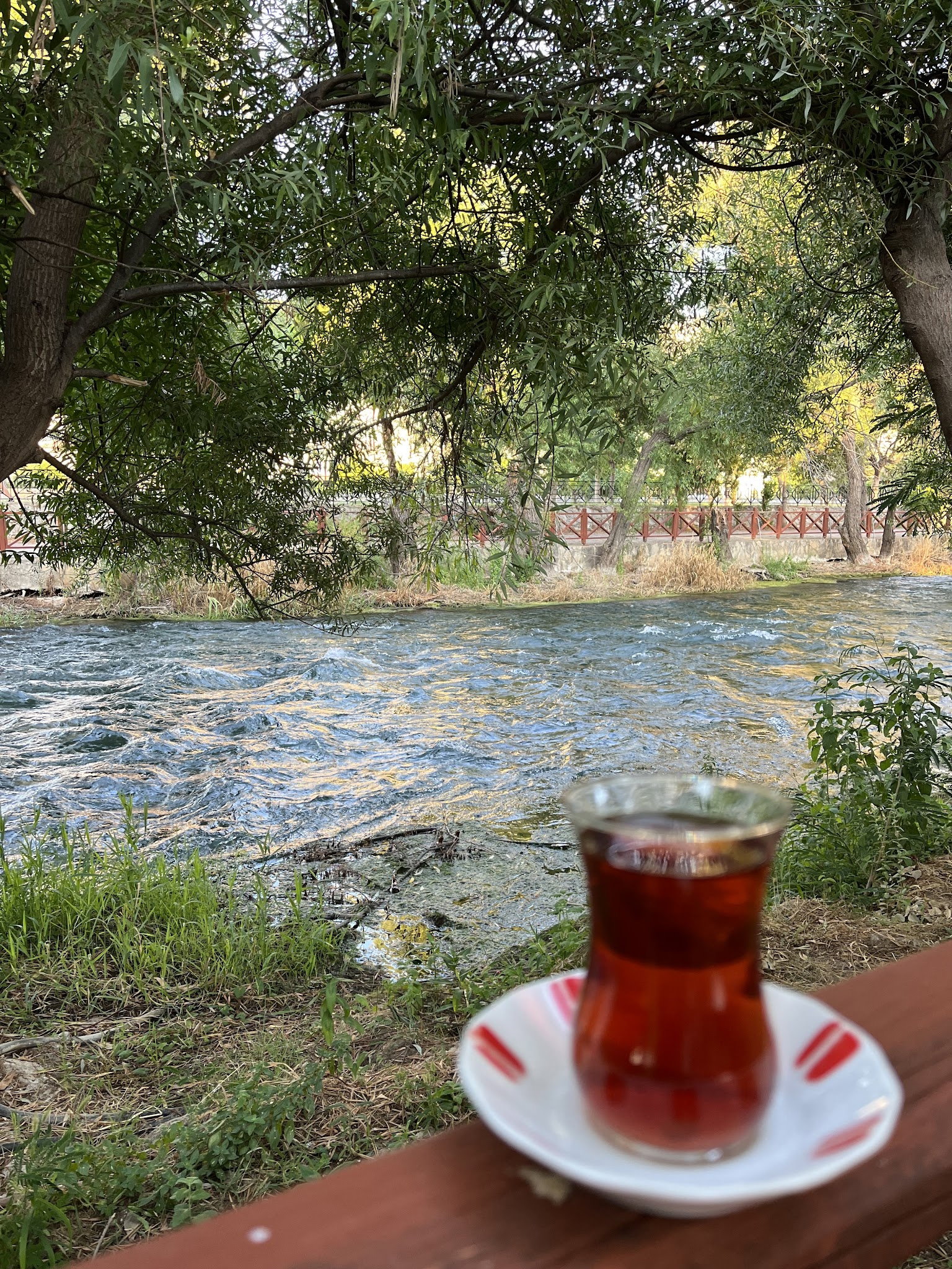 Şelale Cafe & Grill