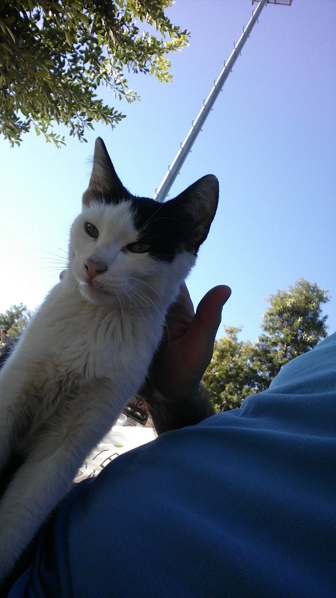 Şelale Cafe & Grill