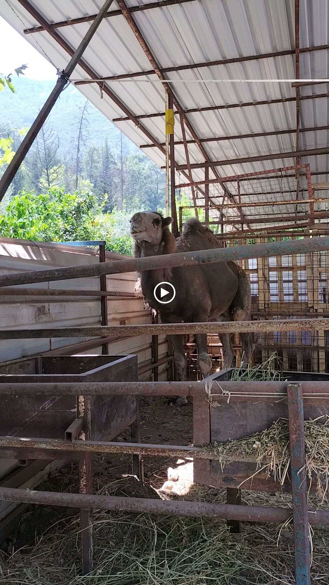 Şelale Cafe & Grill